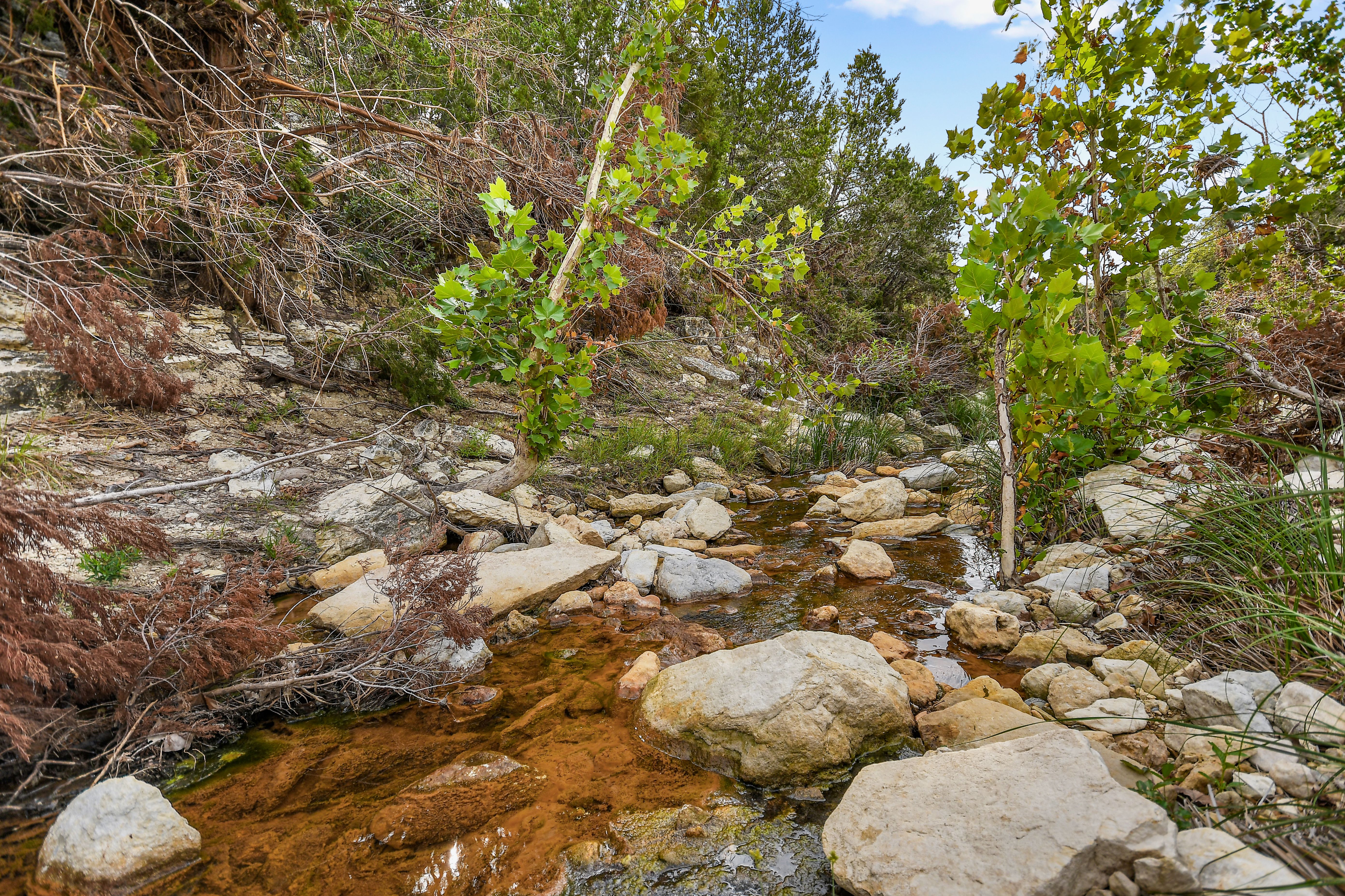  TBD Hwy 46 / Madrona Ranch Road, Pipe Creek, TX 78063 - 物件實景