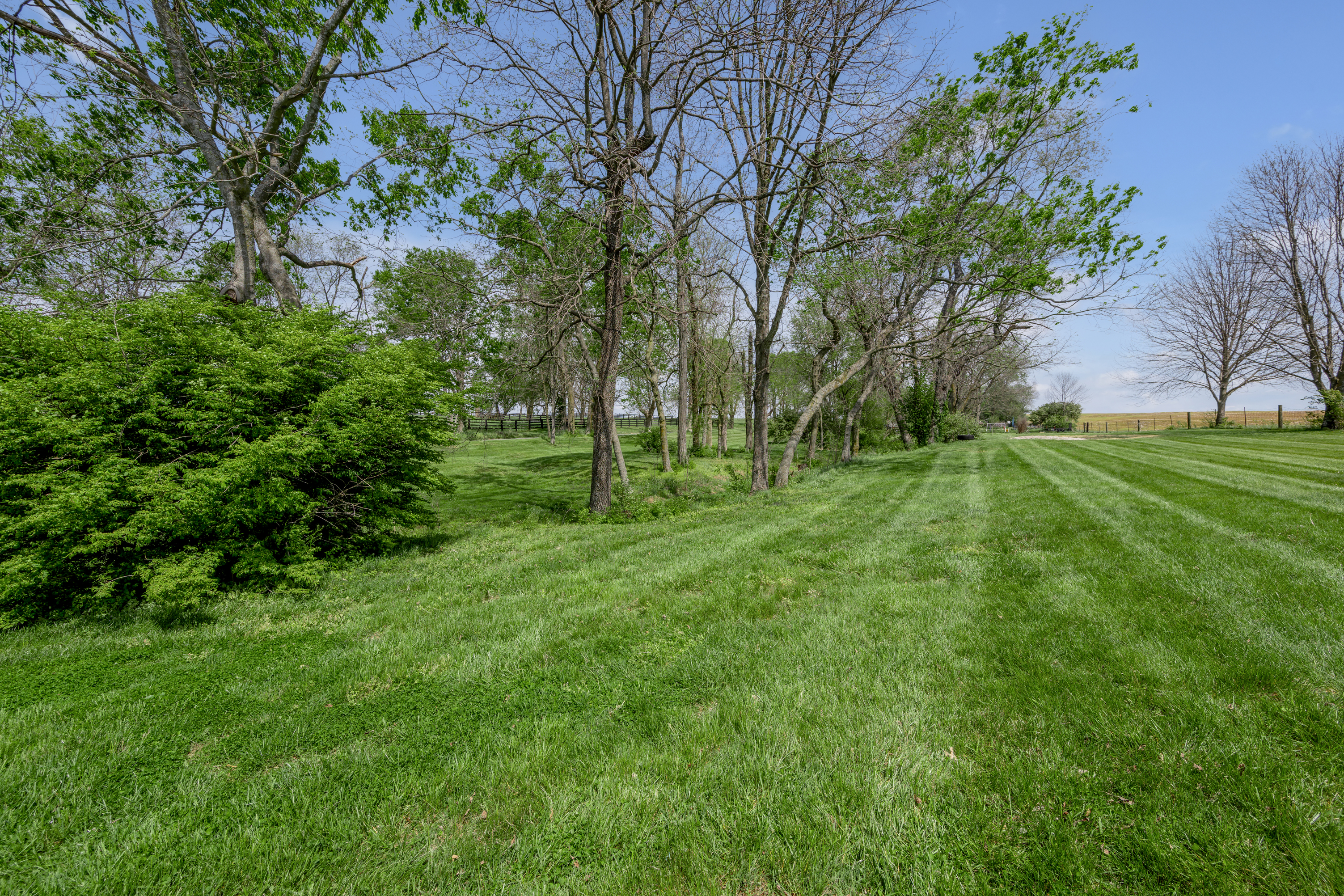  905 Pretty Run Road - 物件實景