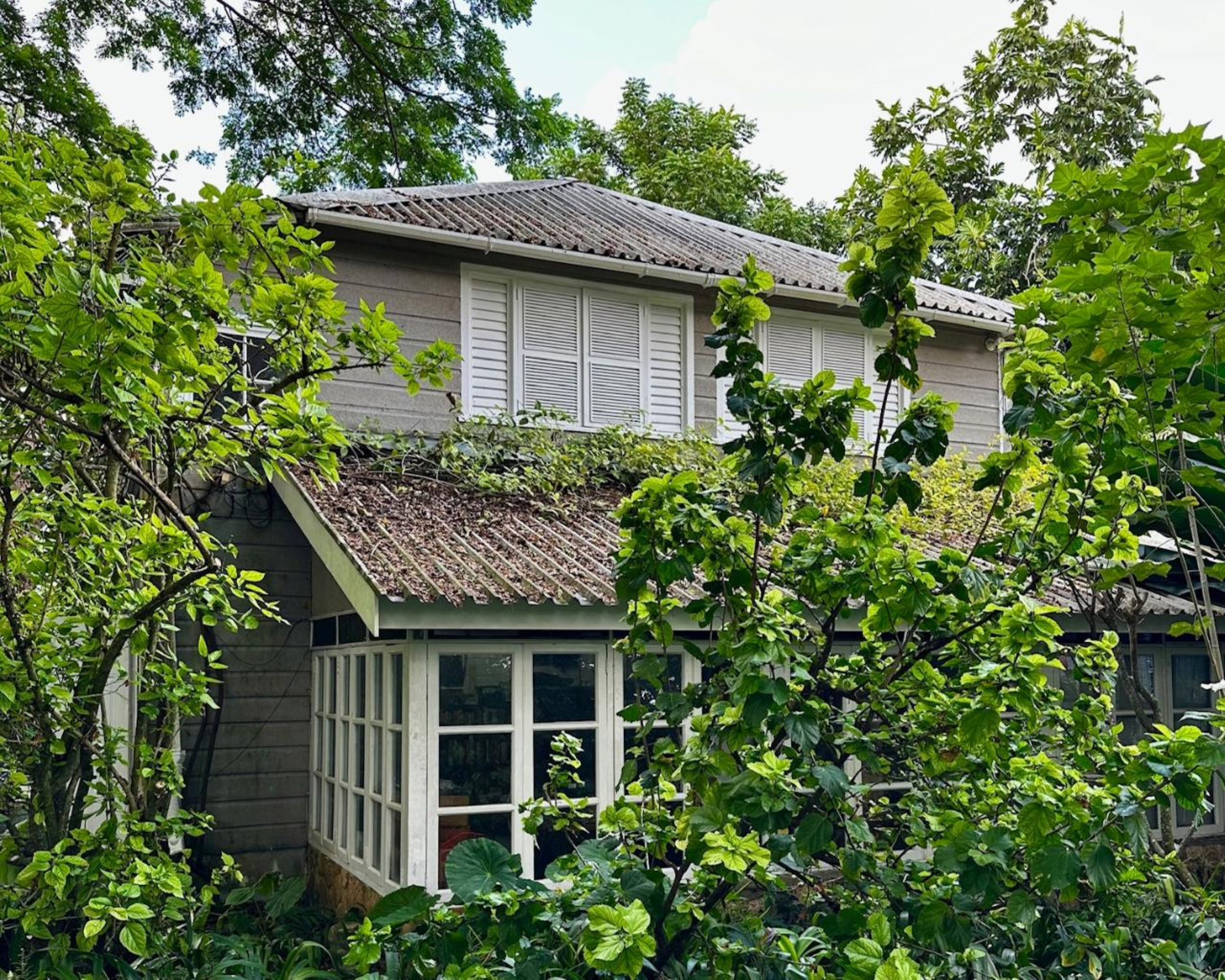  Sussex Estate Great House - 物件實景
