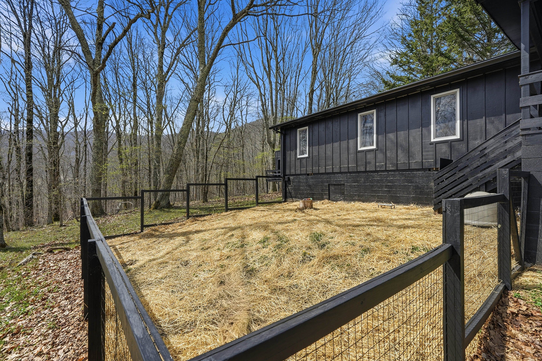  ROAN MOUNTAIN - 物件實景