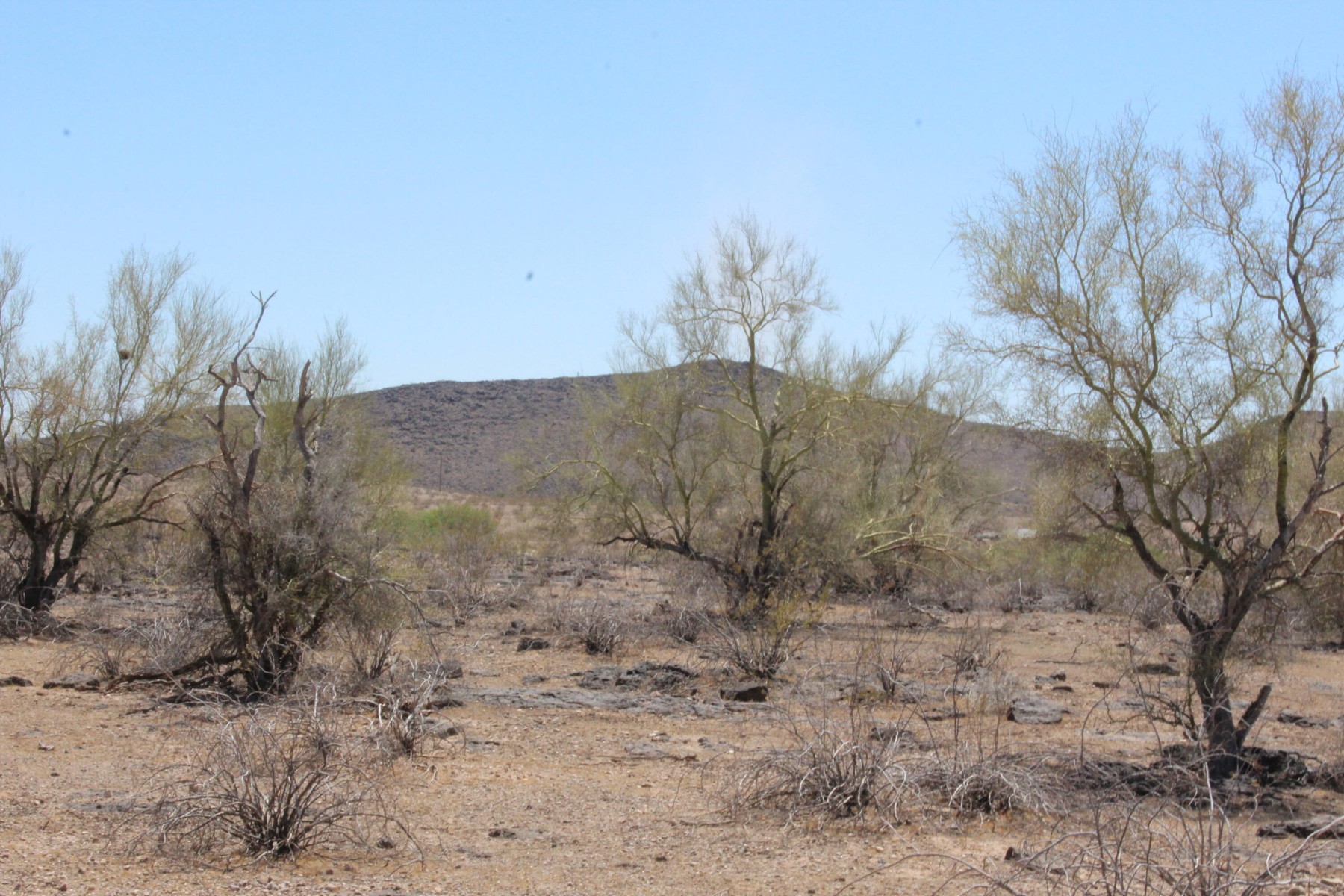  11 S 337th Avenue, Arlington, AZ, 85322 - 物件實景