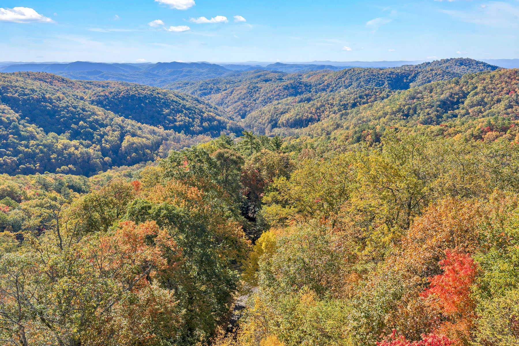  LENOIR - TIMBER RIDGE ESTATES - 物件實景