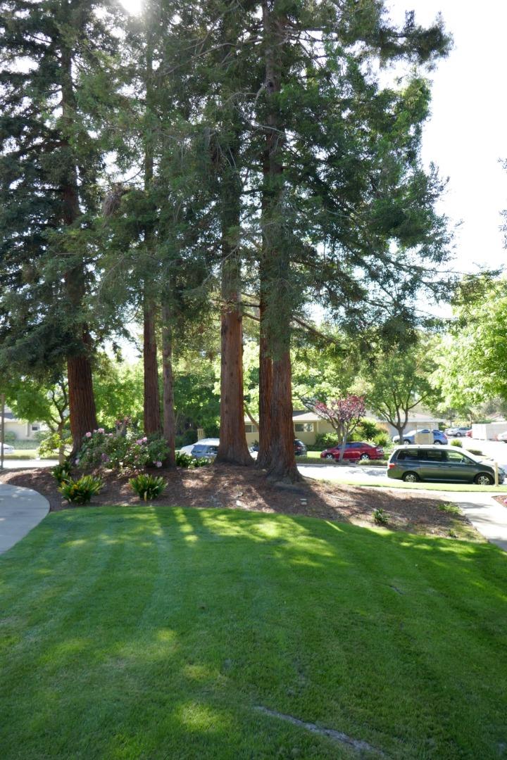 Sunnyvale, California, 94087, United States, 3 Bedrooms Bedrooms, ,2 BathroomsBathrooms,Residential,For Sale,1739915