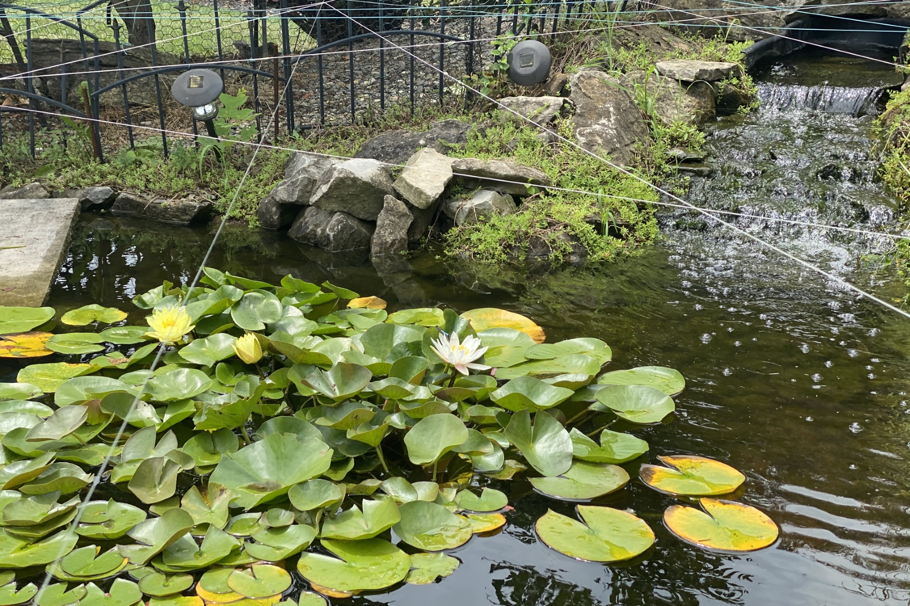  Spacious and Inviting Layout - 物件實景