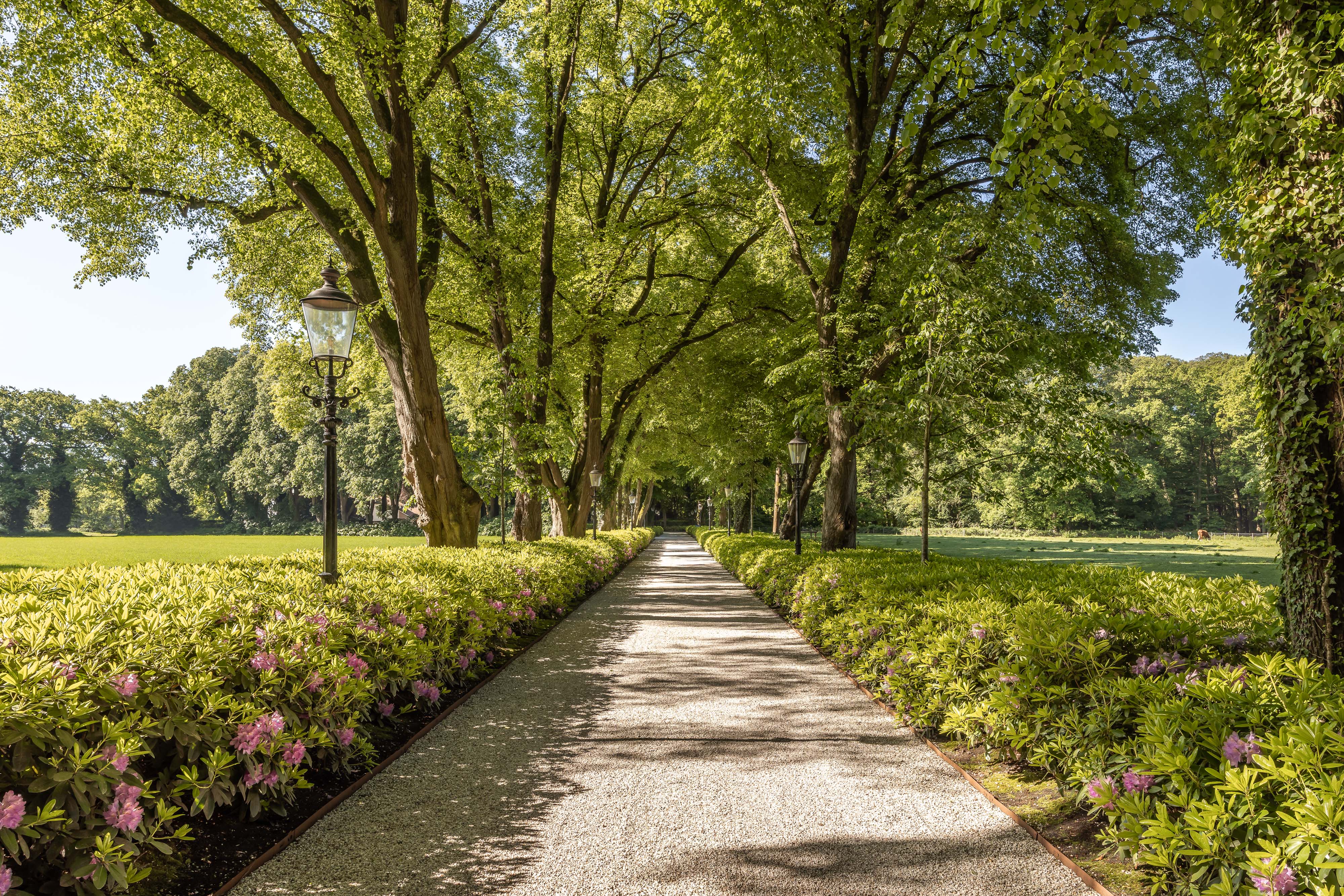  The French-Inspired Country Estate in the Heart of the Gooi - 物件實景