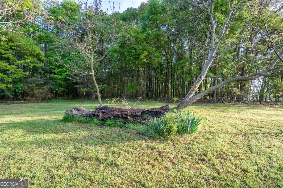 Royston, Georgia, 30662, United States, ,Land,For Sale,1829562