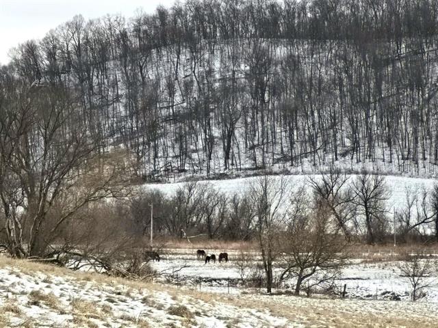 Gays Mills, Wisconsin, 54631, United States, 3 Bedrooms Bedrooms, ,3 BathroomsBathrooms,Residential,For Sale,2006070