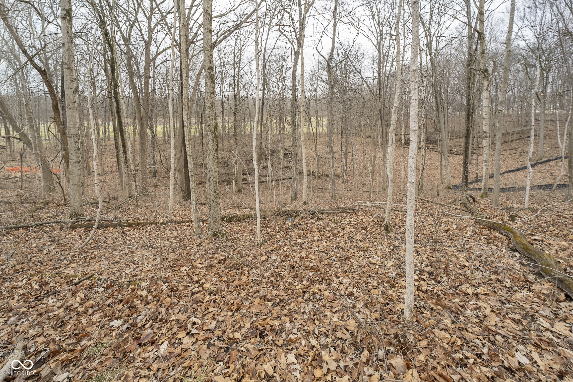 Zionsville, Indiana, 46077, United States, ,Residential,For Sale,1984208