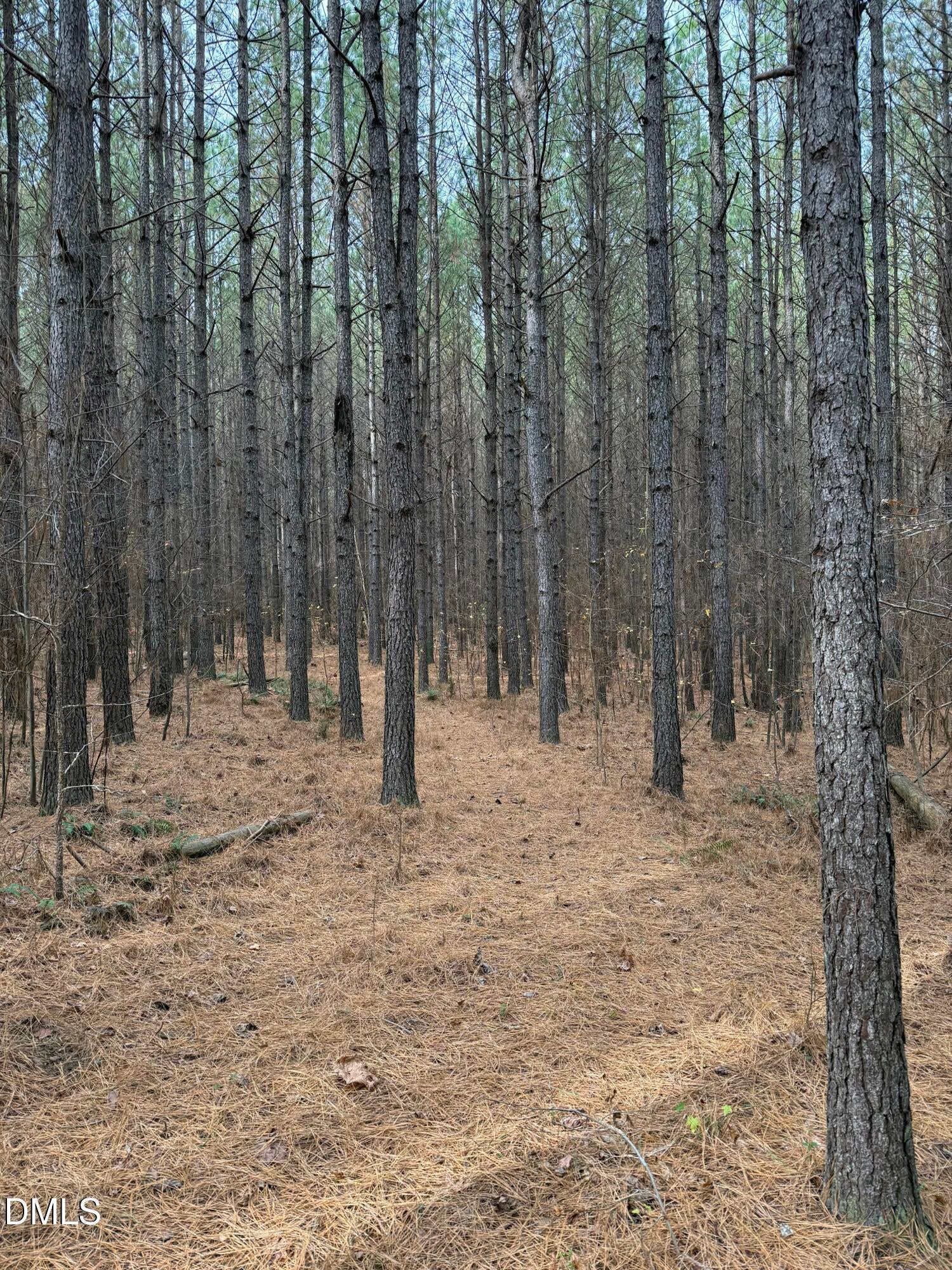 Oxford, North Carolina, 27565, United States, ,Land,For Sale,2000467