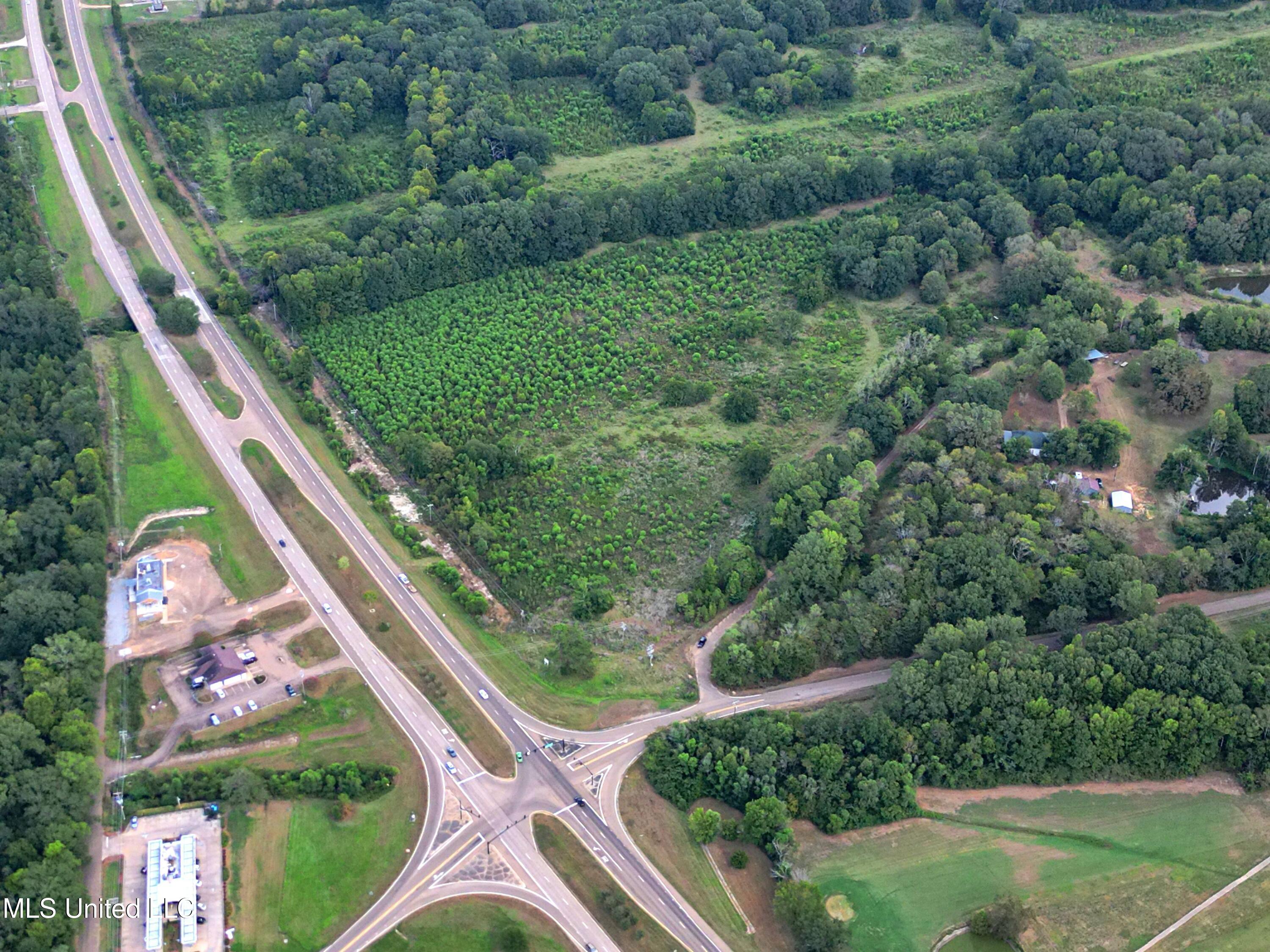 Olde Oak Tree Lane, Raymond, Mississippi, 39154, United States, ,Land,For Sale,Olde Oak Tree Lane,1670305