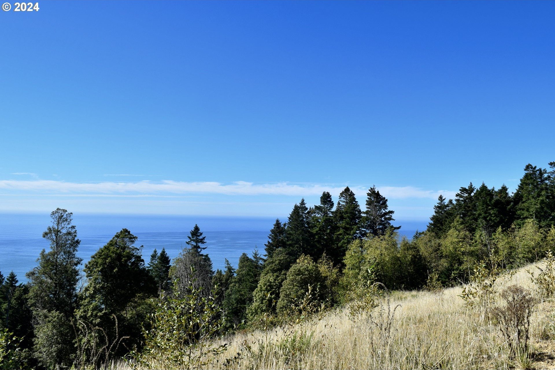 Port Orford, Oregon, 97465, United States, ,Land,For Sale,1977705