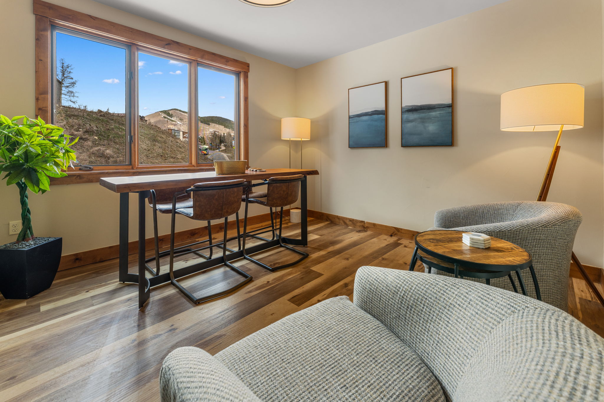  621 Gothic Road, Unit 2A, Mt. Crested Butte, CO 81225 - 物件實景