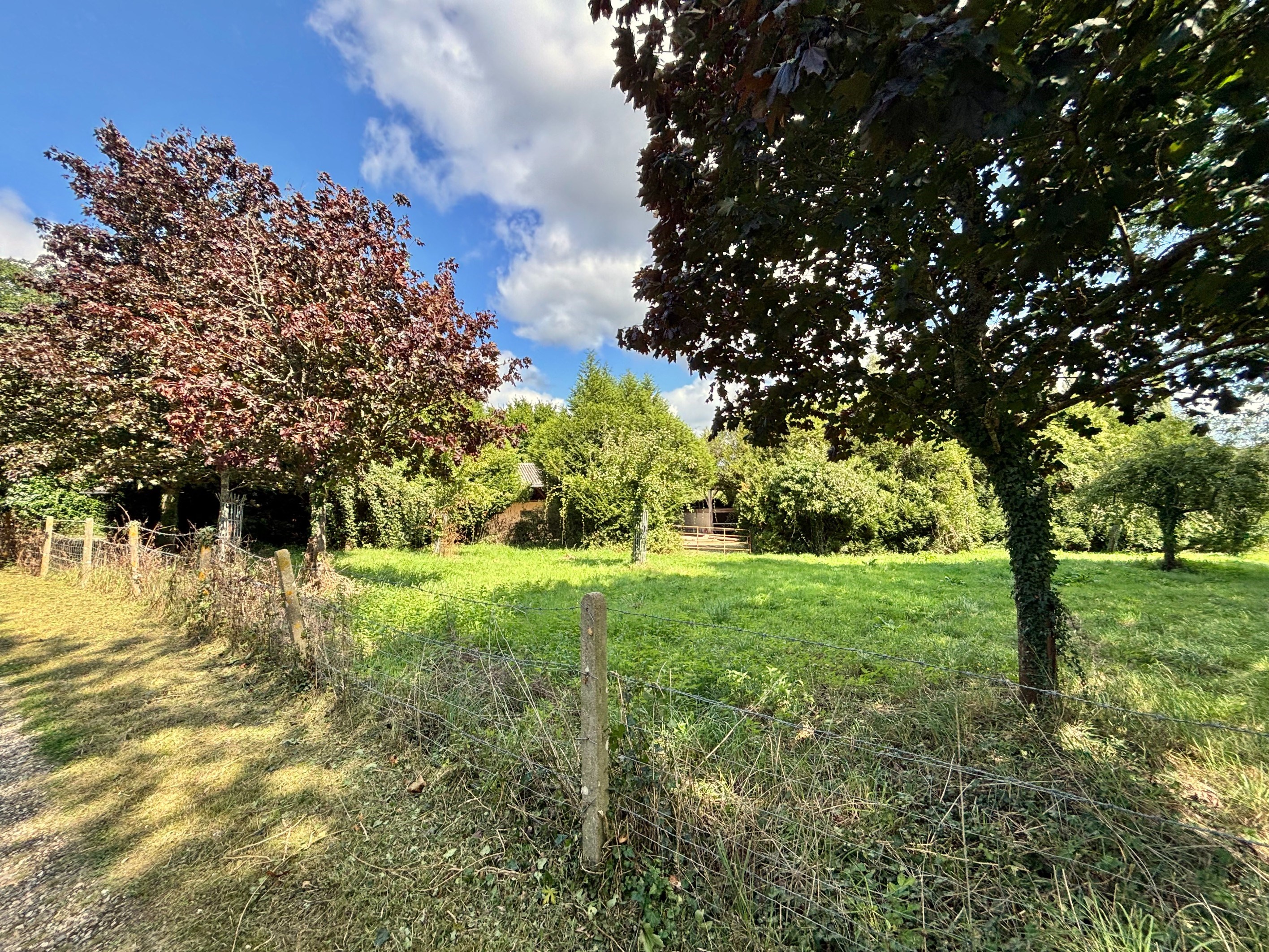  Maison - 物件實景