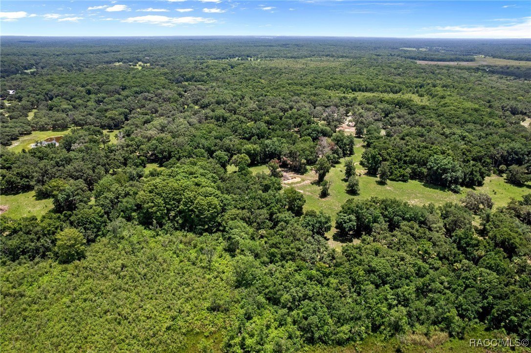 Inverness, Florida, 34453, United States, 6 Bedrooms Bedrooms, ,4 BathroomsBathrooms,Residential,For Sale,1975798