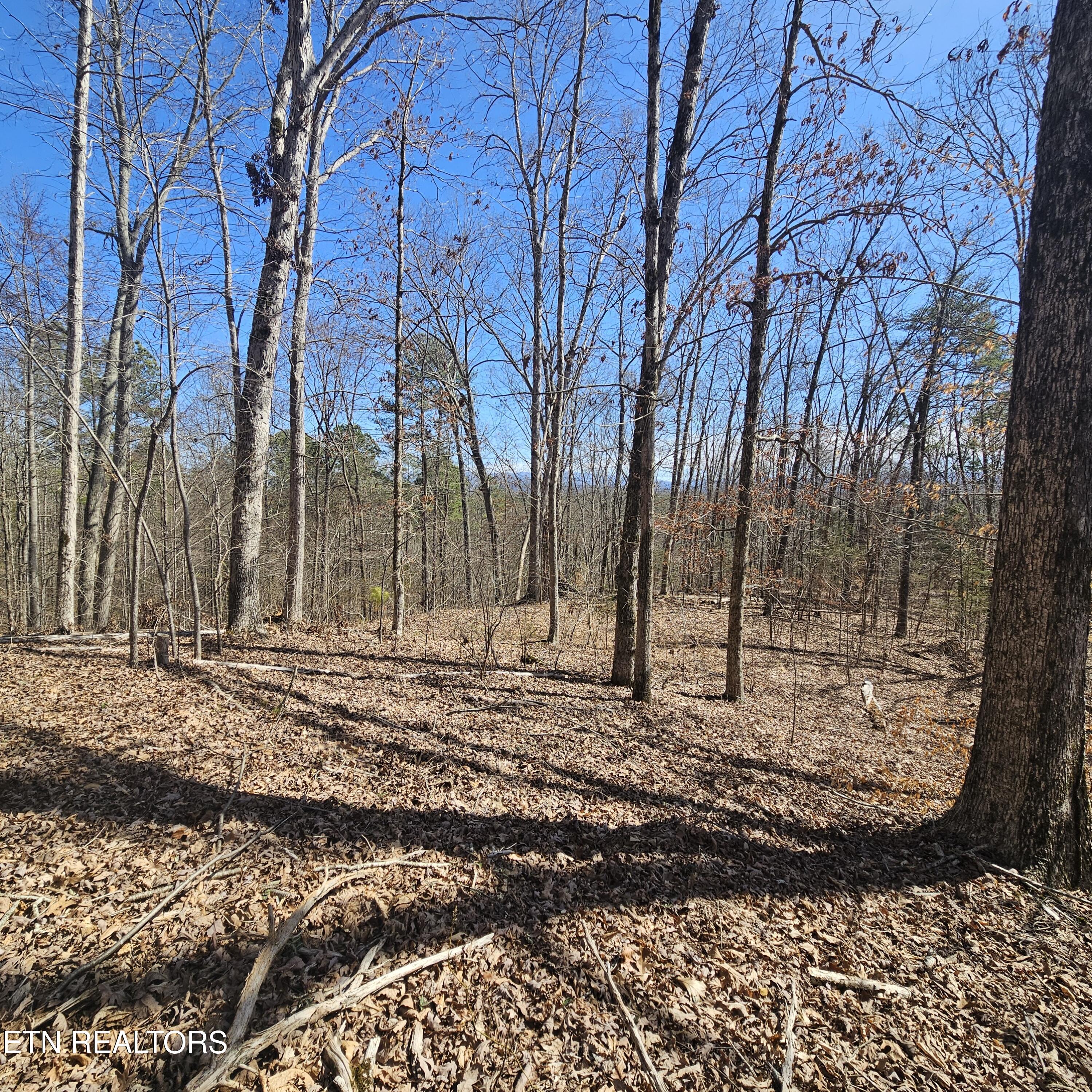 Tellico Plains, Tennessee, 37385, United States, ,Residential,For Sale,1922105