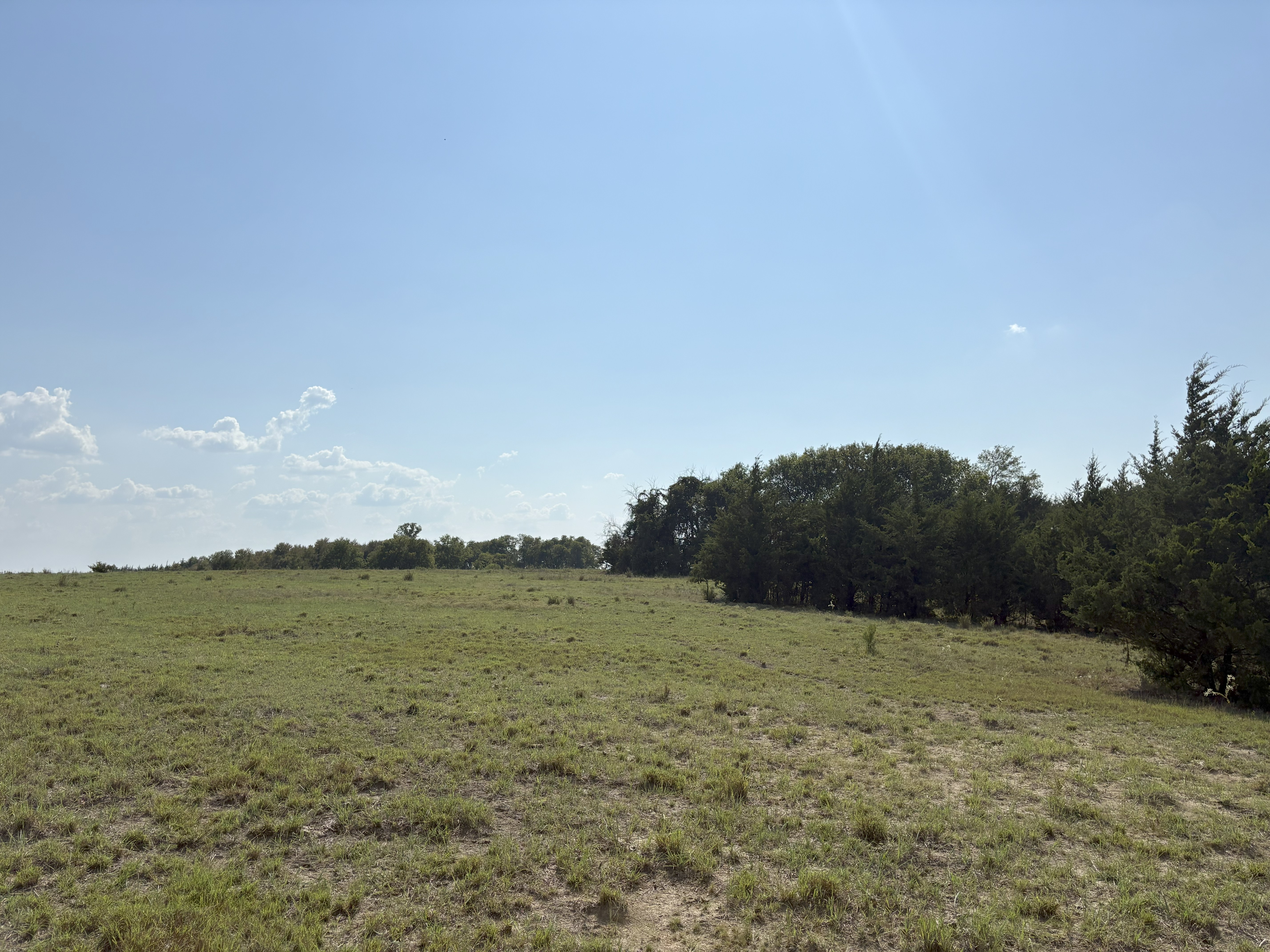 Roxton, Texas, 75477, United States, ,Land,For Sale,1979032