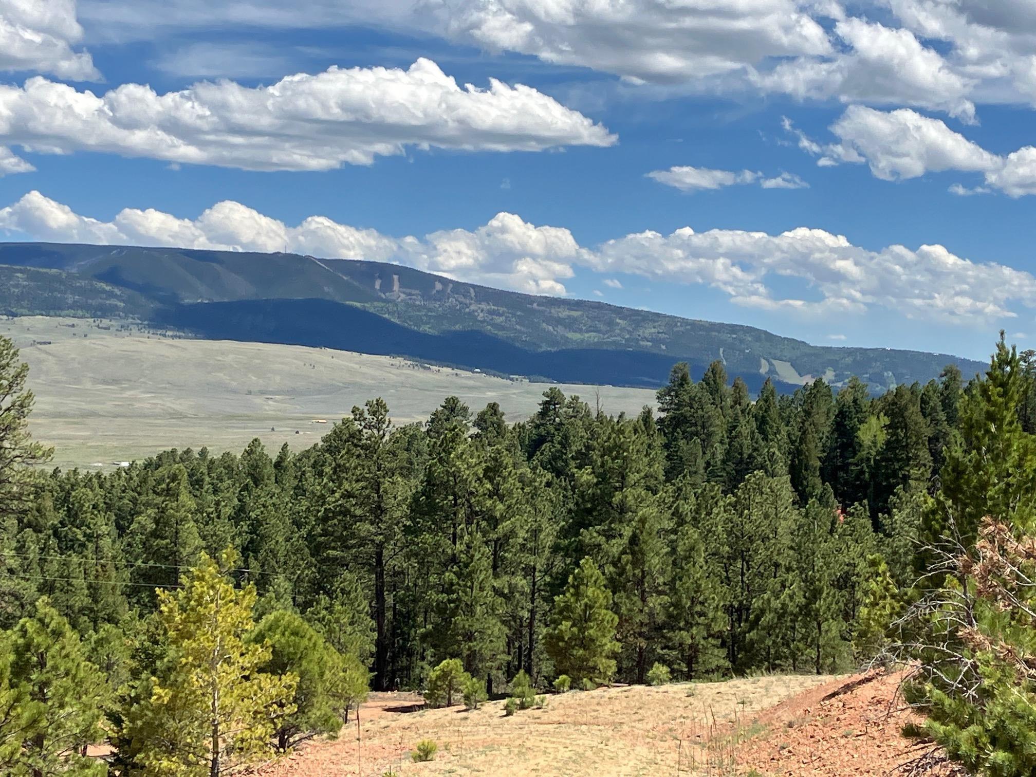 Eagle Nest, New Mexico, 87718, United States, ,Land,For Sale,1752253