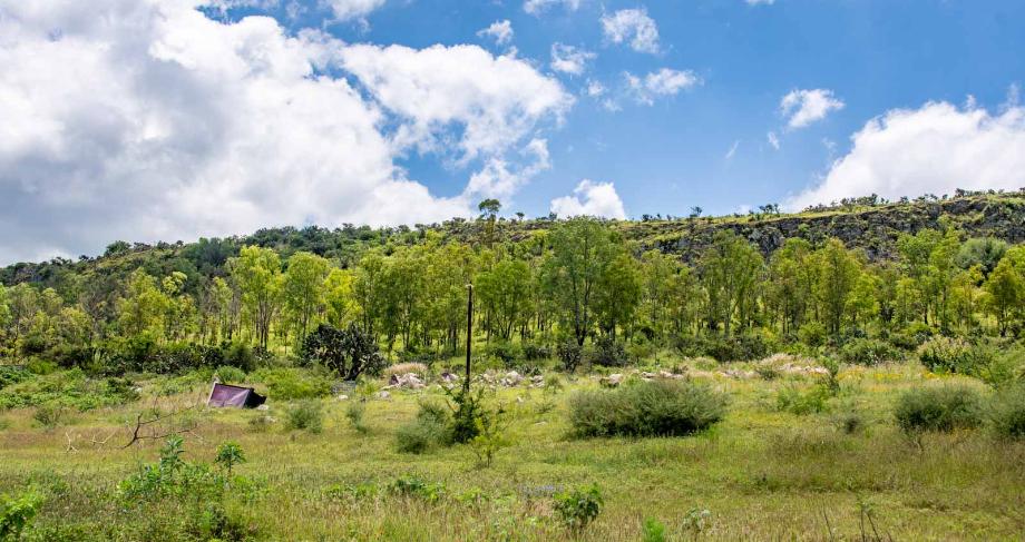 San Miguel de Allende, Guanajuato, 37895, Mexico, 1 Bedroom Bedrooms, ,Residential,For Sale,1948942