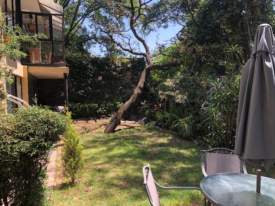 Encino Grande, Álvaro Obregón, Ciudad de México, 01700, Mexico, 3 Bedrooms Bedrooms, ,3 BathroomsBathrooms,Residential,For Sale,Encino Grande,1624931