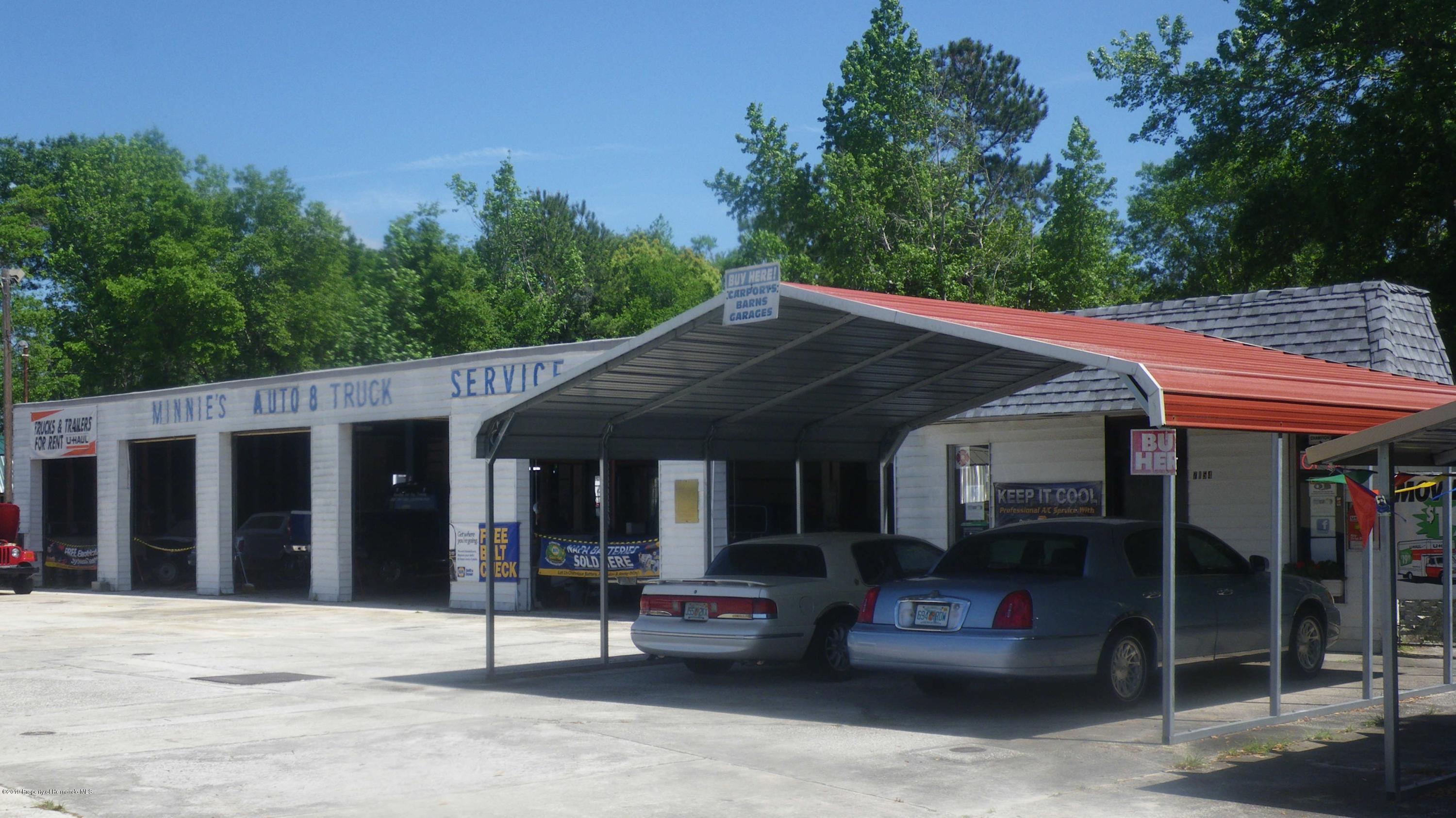 Brooksville, Florida, 34601, United States, ,Land,For Sale,1976976