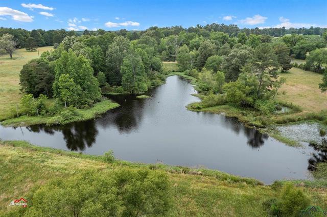Carthage, Texas, 75633, United States, ,Land,For Sale,1826427