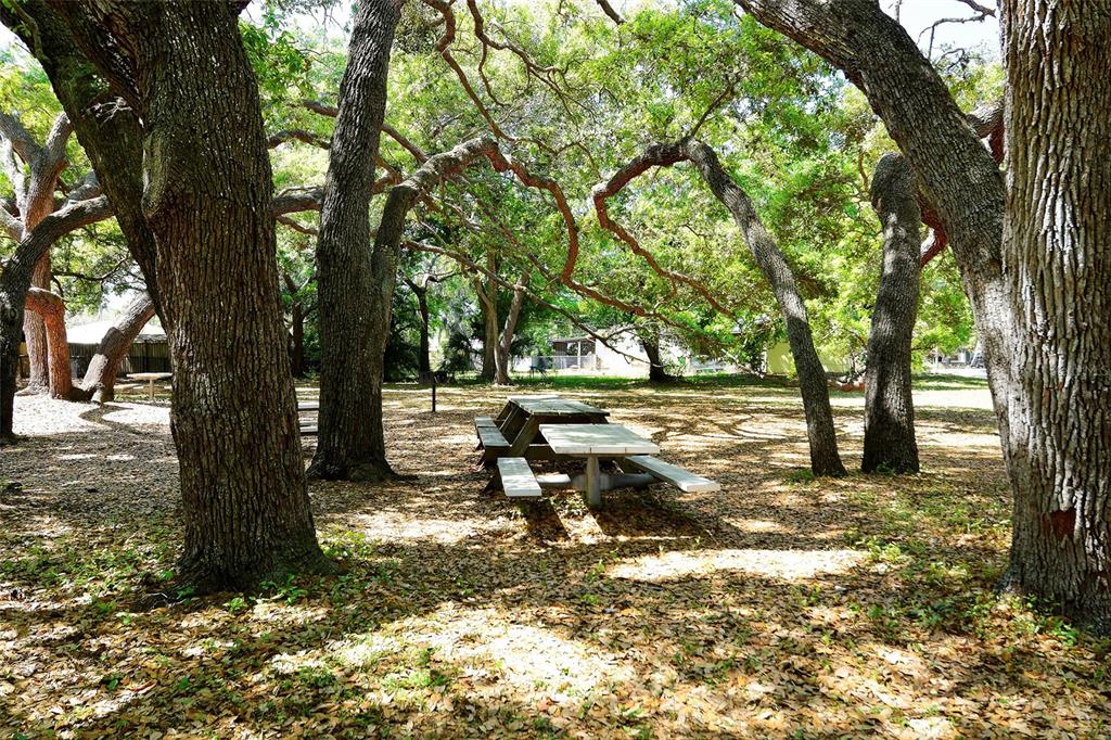 Sarasota, Florida, 34239, United States, 4 Bedrooms Bedrooms, ,2 BathroomsBathrooms,Residential,For Sale,1942091