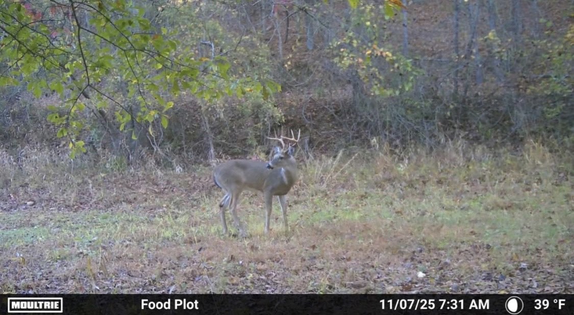 Bowdon, Georgia, 30108, United States, ,Land,For Sale,1989904