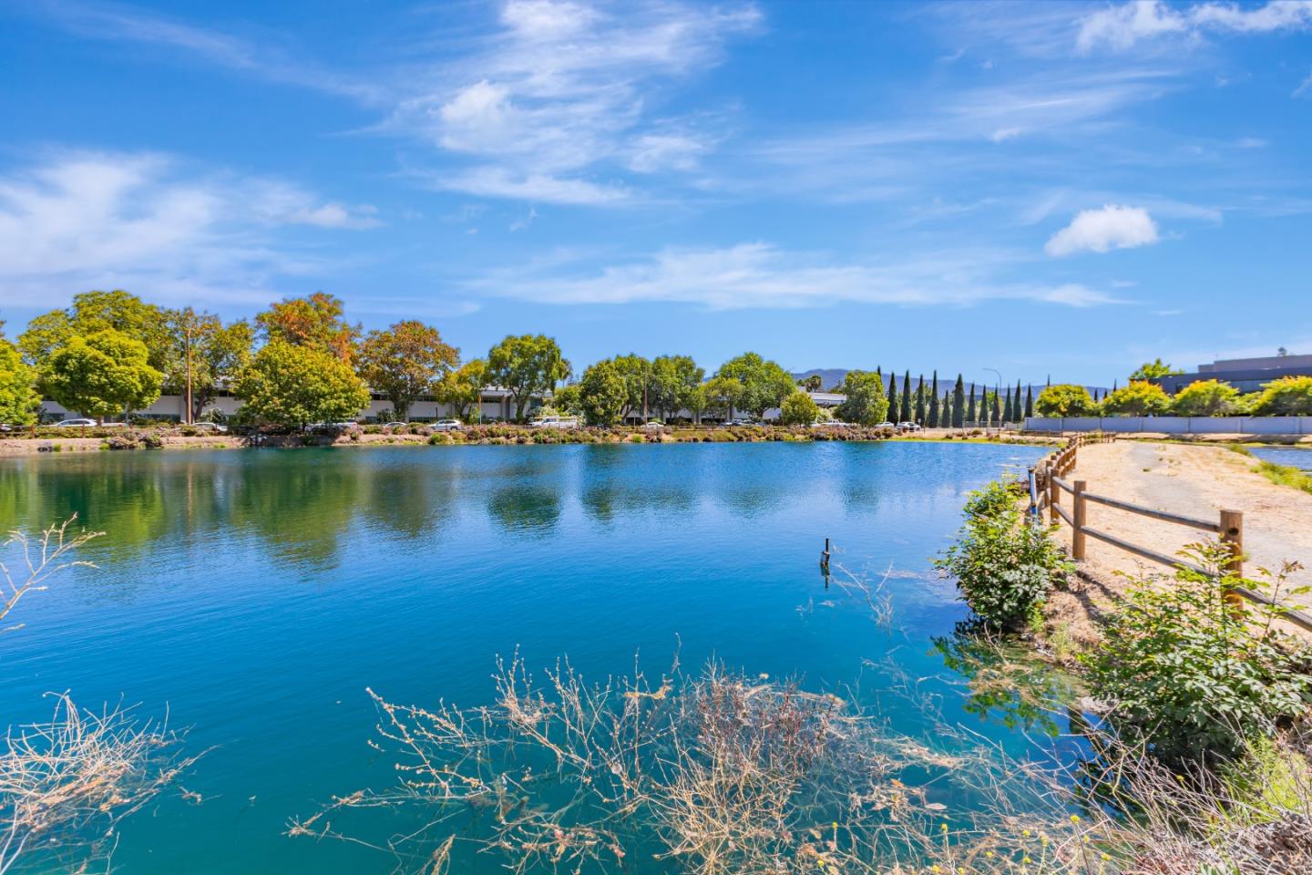 Campbell, California, 95008, United States, 3 Bedrooms Bedrooms, ,3 BathroomsBathrooms,Residential,For Sale,1942008