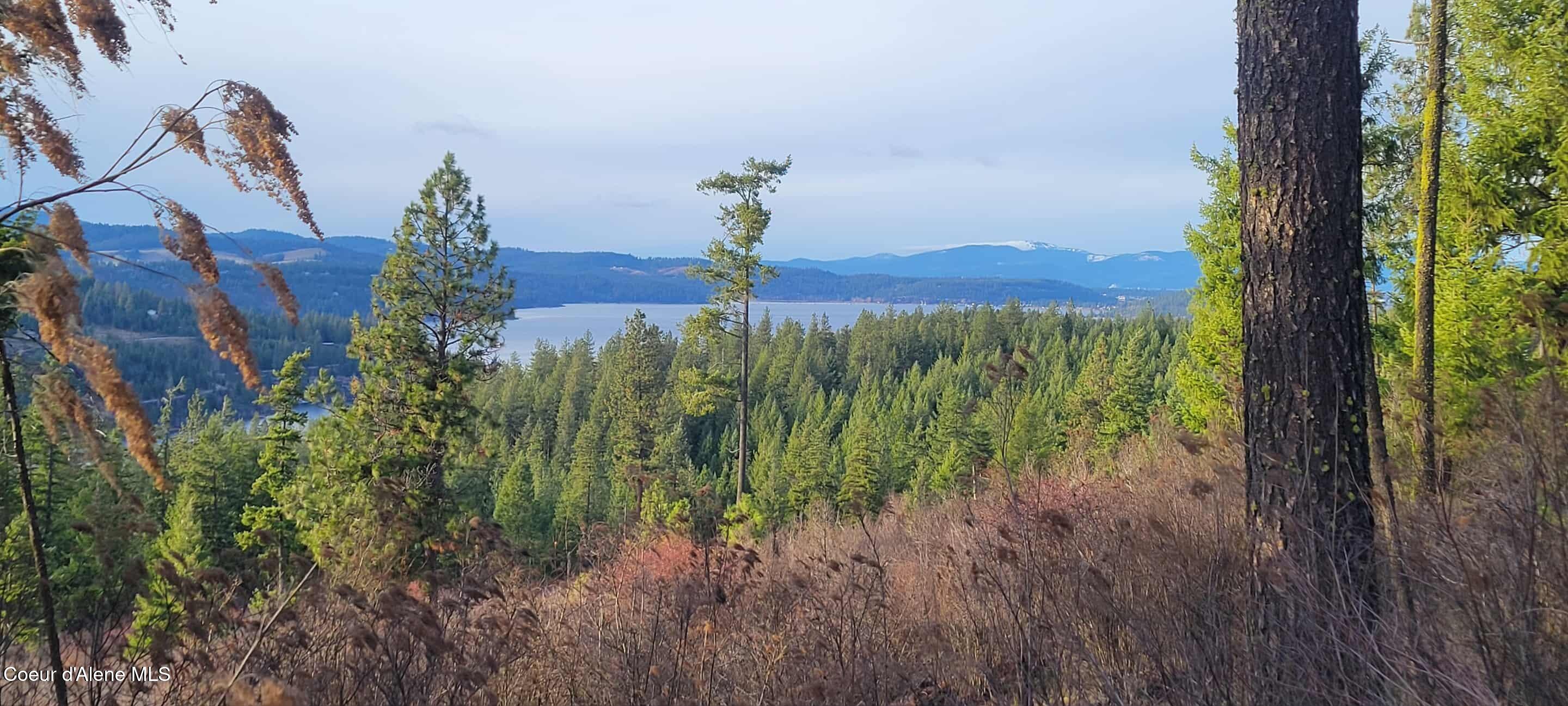 Harrison, Idaho, 83833, United States, 1 Bedroom Bedrooms, ,1 BathroomBathrooms,Residential,For Sale,1980772