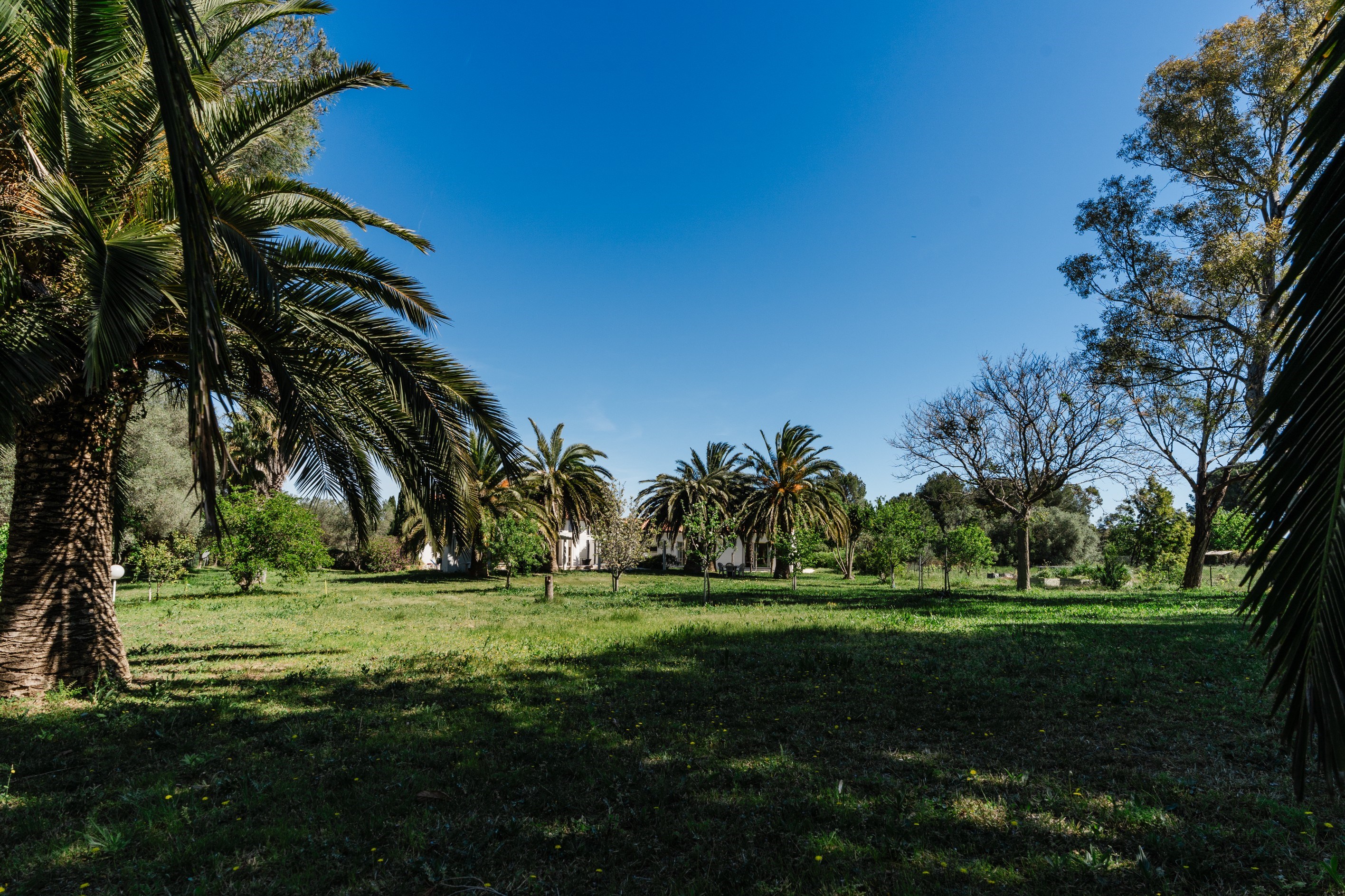  Building Plot – Mas Vermeil - 物件實景