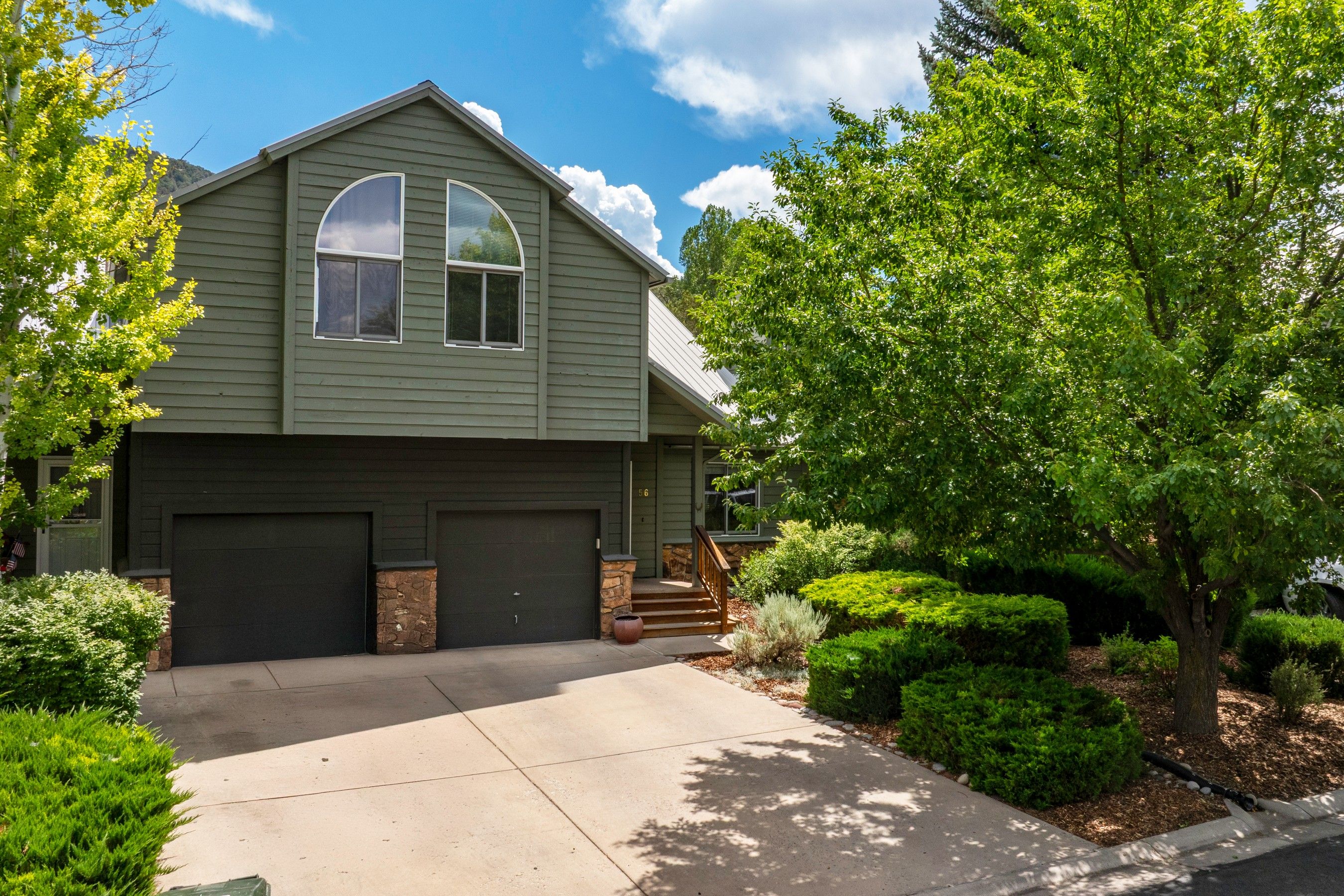  56 Sagewood Court, Basalt, CO 81621 - 物件實景