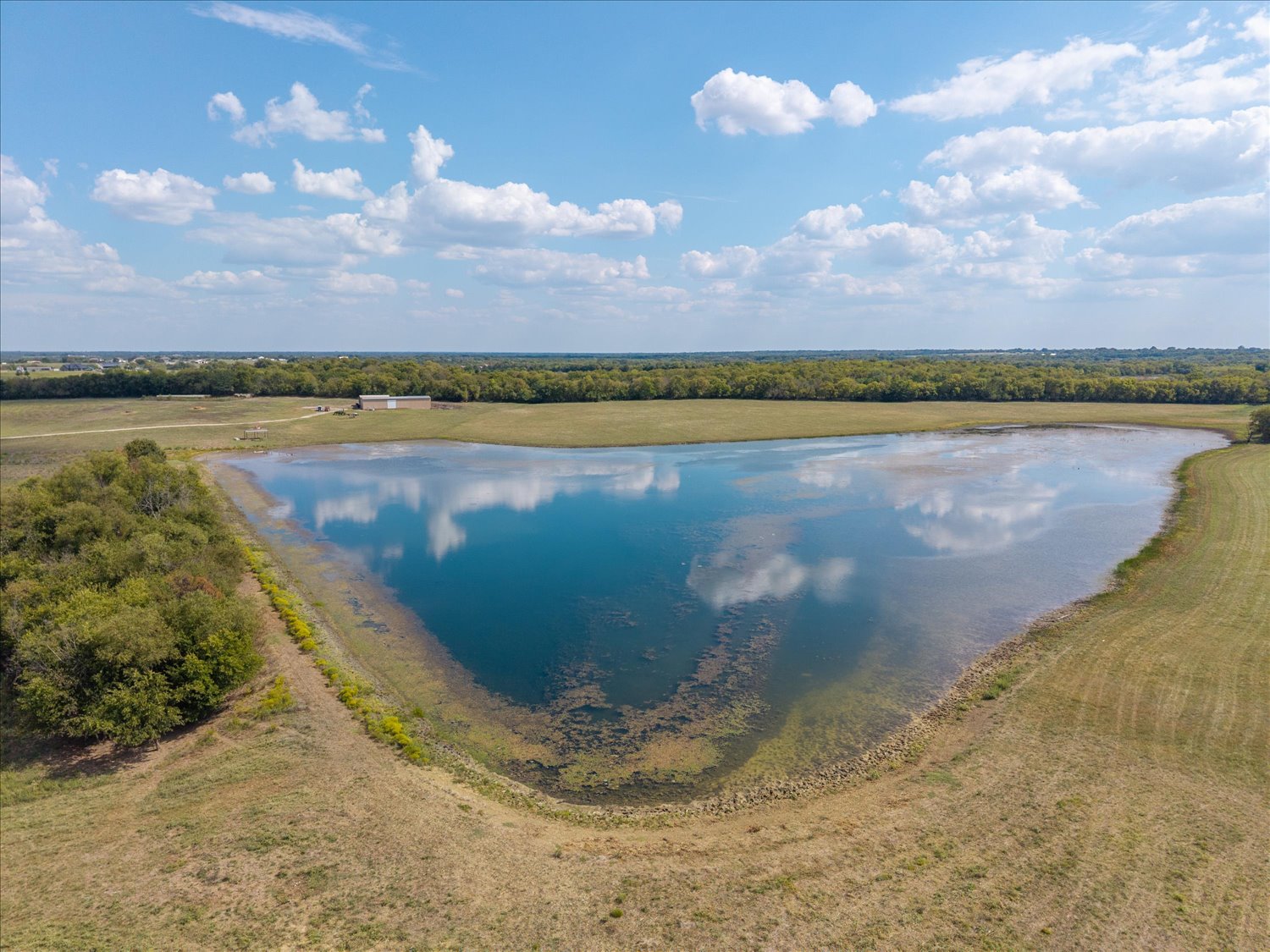 Celeste, Texas, 75423, United States, ,Land,For Sale,1983780