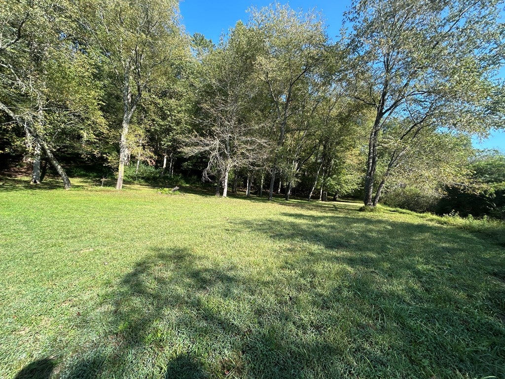 Blue Ridge, Georgia, 30513, United States, 3 Bedrooms Bedrooms, ,3 BathroomsBathrooms,Residential,For Sale,1954403