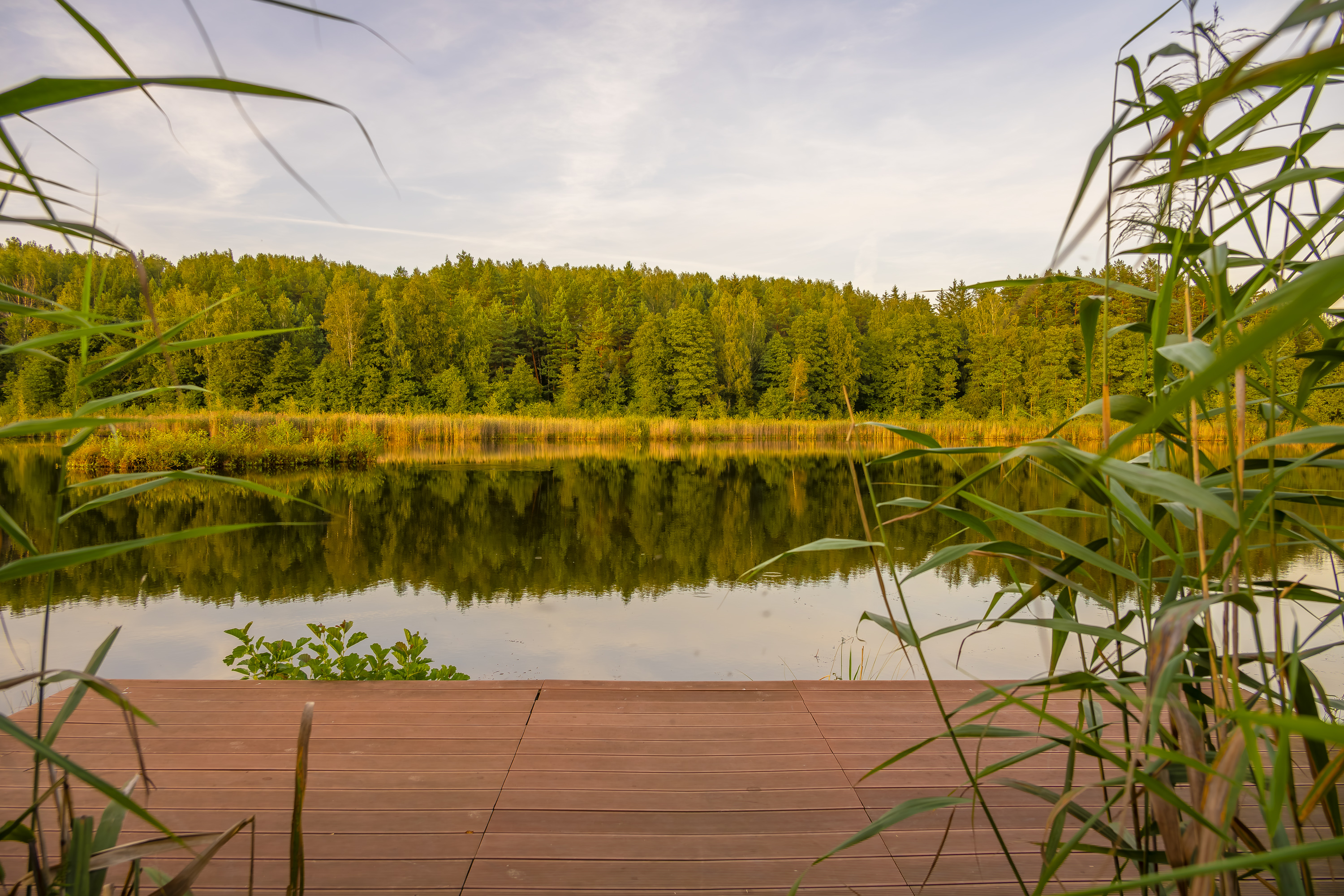  Romantic family homestead with a long lakeside - 物件實景
