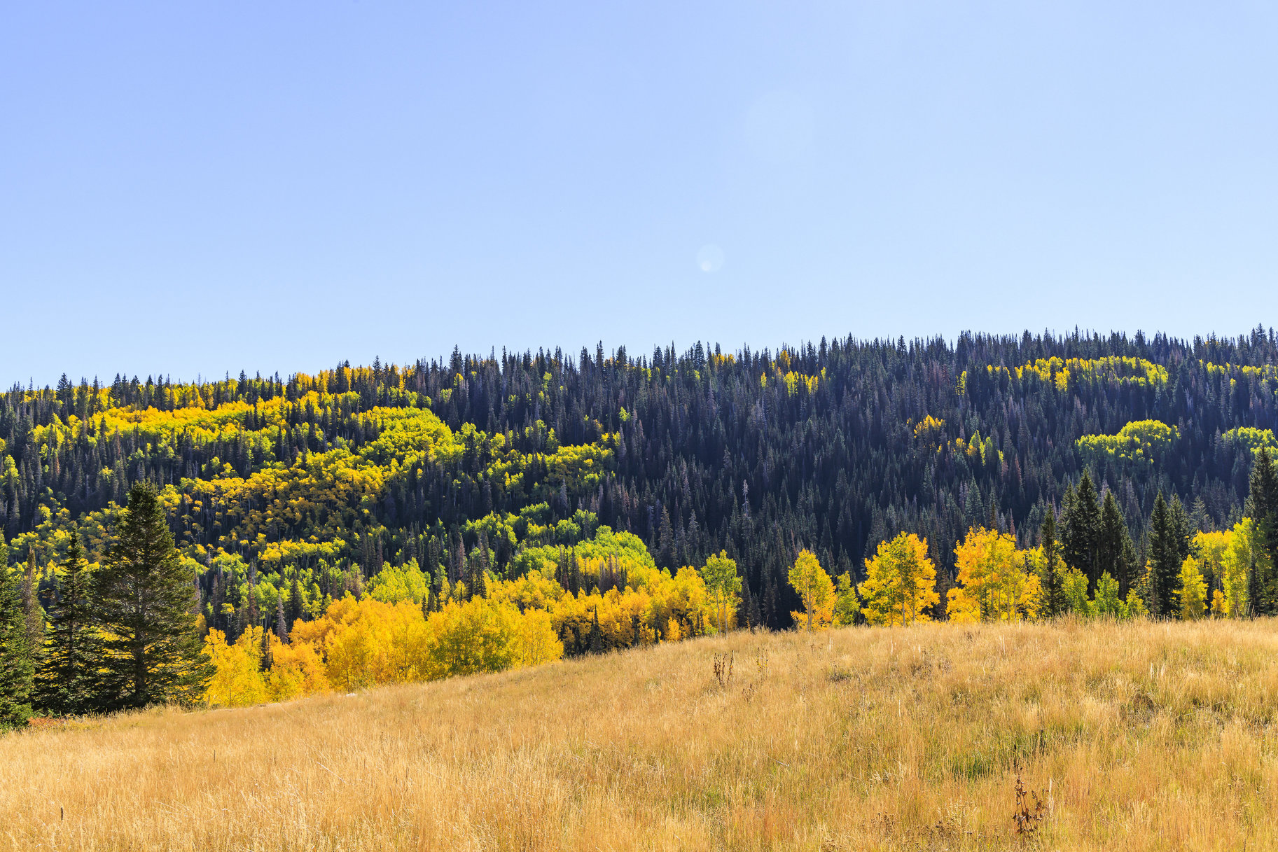  Incredible 28 Acre Estate Lot in the Colony at White Pine Canyon - 物件實景