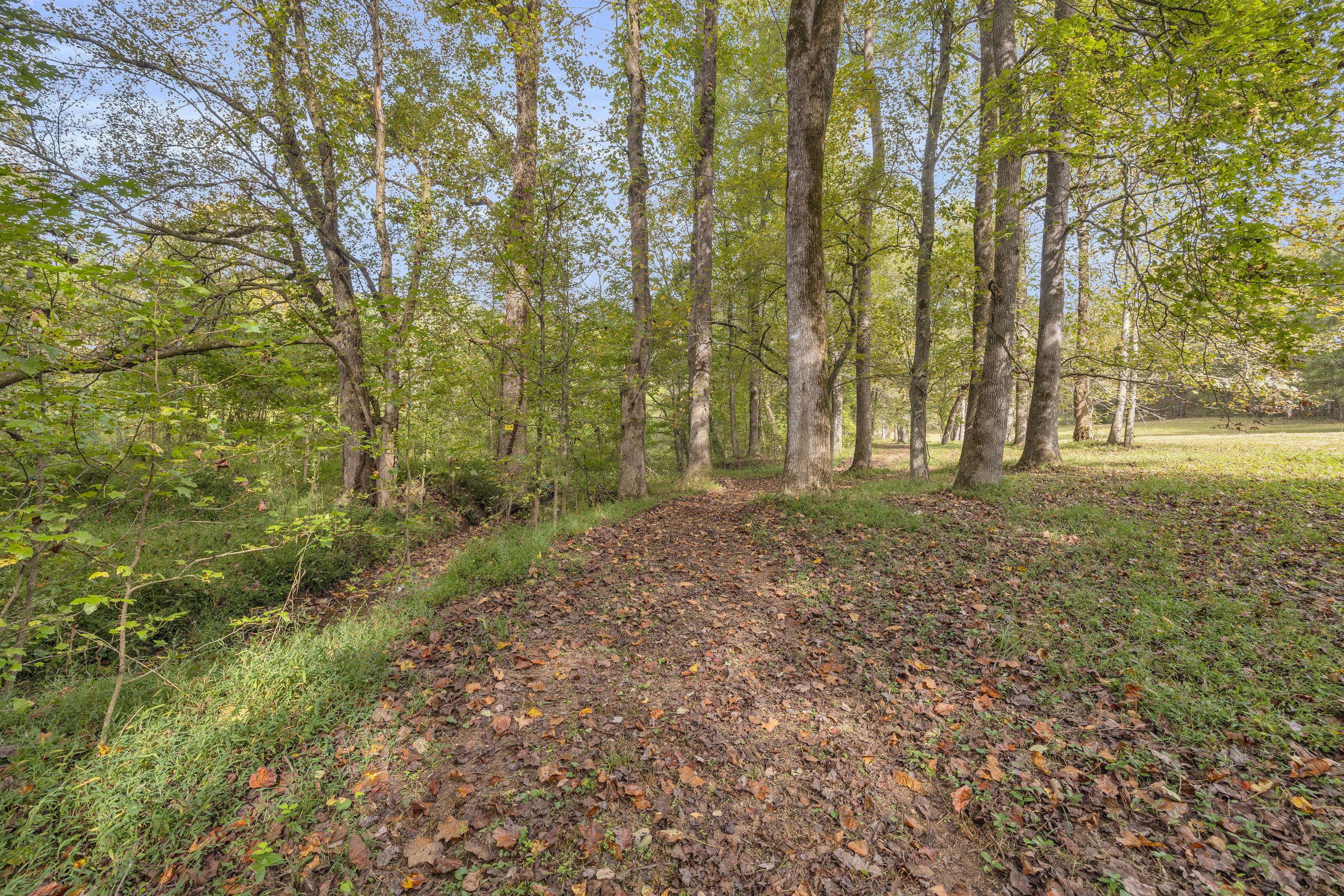 Cleveland, Georgia, 30528, United States, 3 Bedrooms Bedrooms, ,2 BathroomsBathrooms,Residential,For Sale,1979350