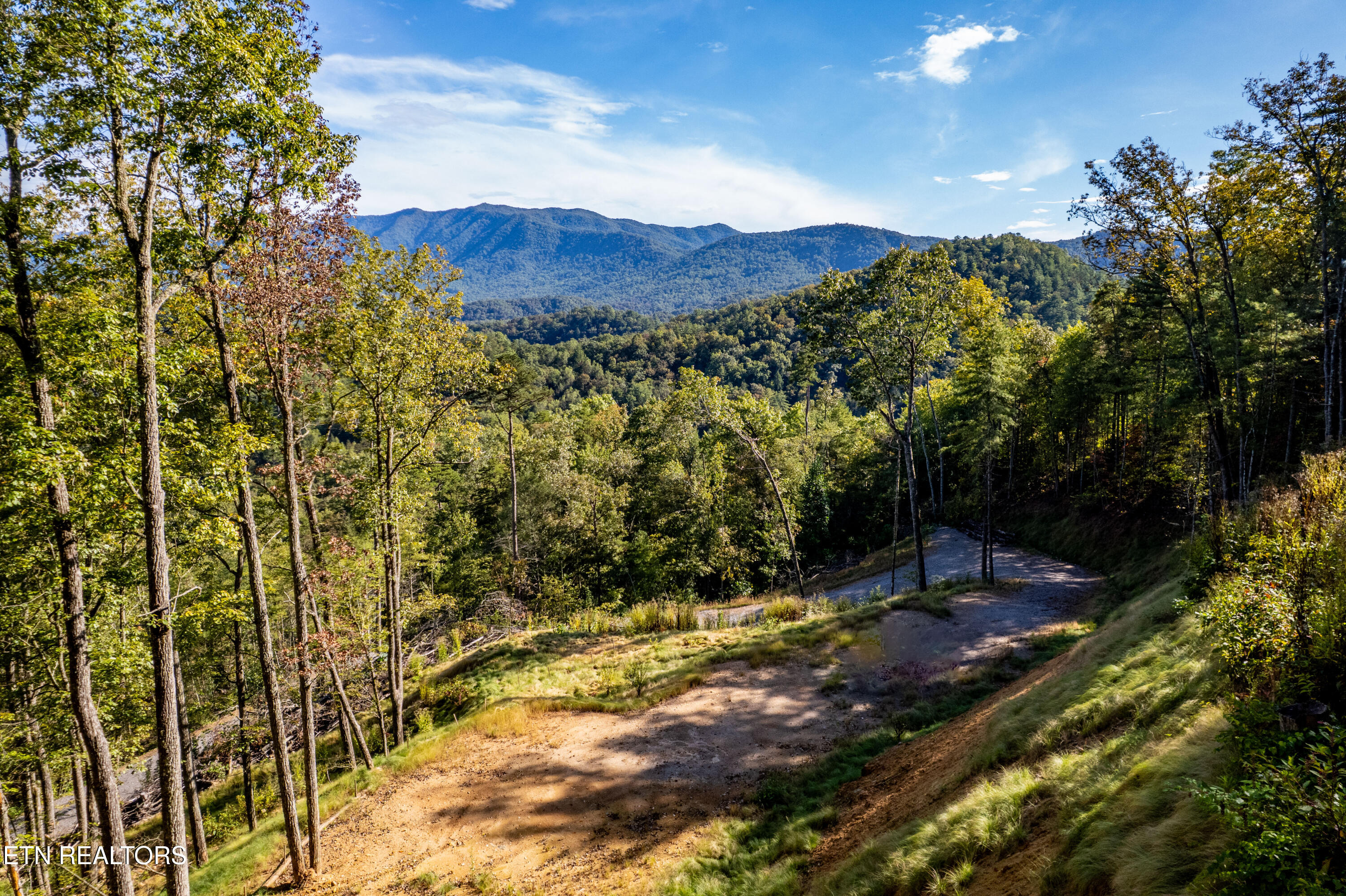 Townsend, Tennessee, 37882, United States, ,Land,For Sale,1982643