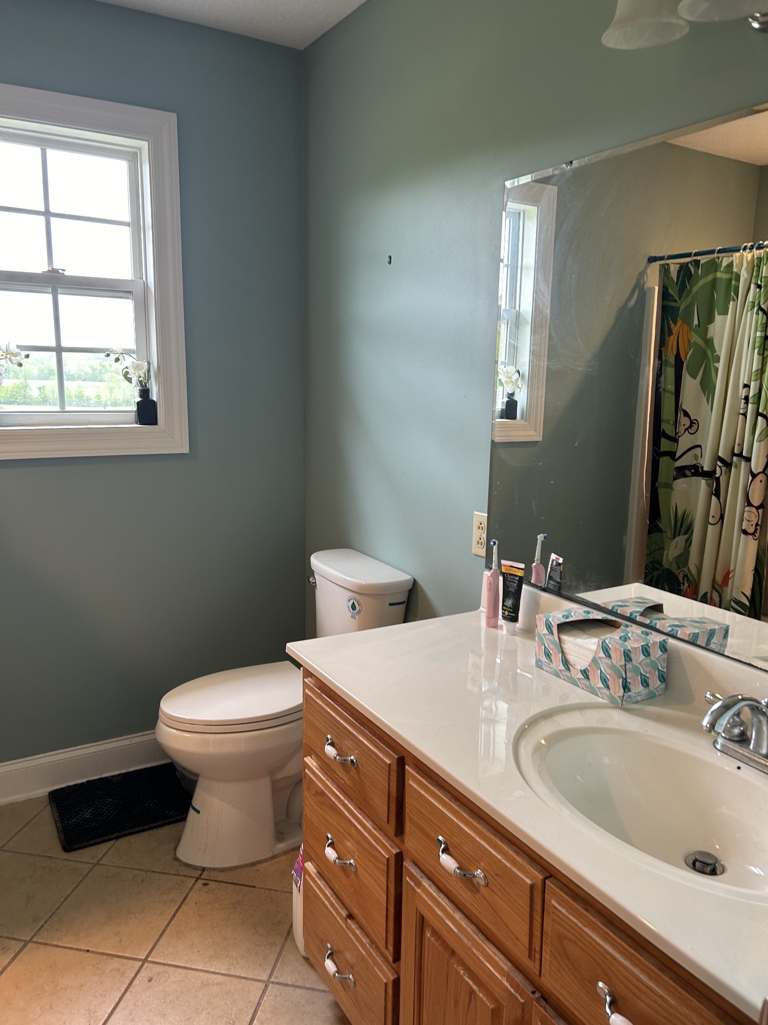 Iron City, Tennessee, 38463, United States, 4 Bedrooms Bedrooms, ,3 BathroomsBathrooms,Residential,For Sale,1737855