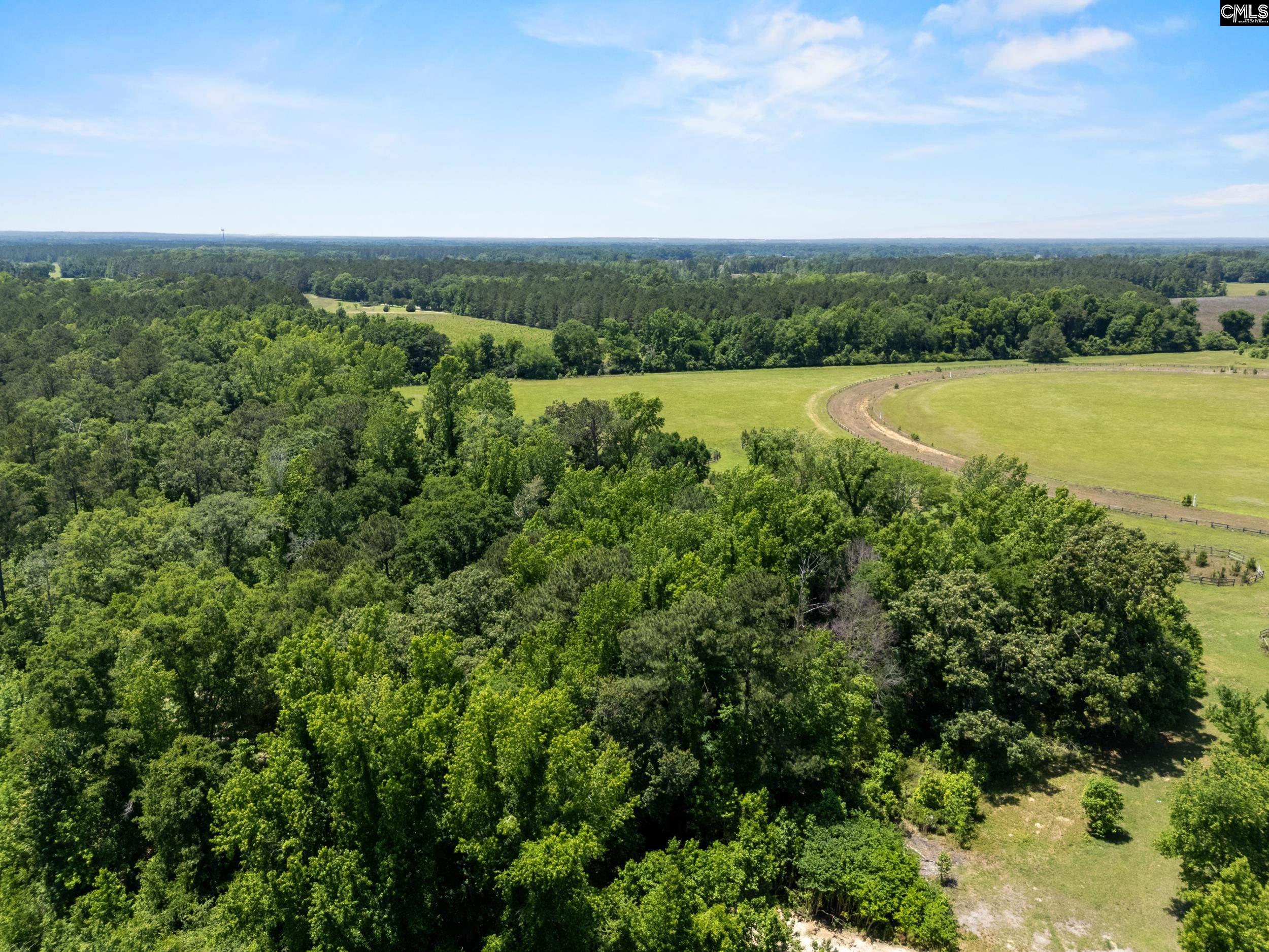  377 Sweet Street  Rembert, SC - 物件實景