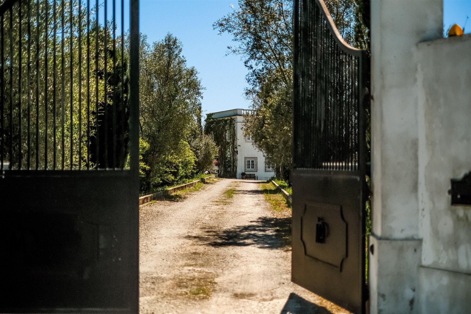  Country Estate, 6 bedrooms, for Sale - 物件實景