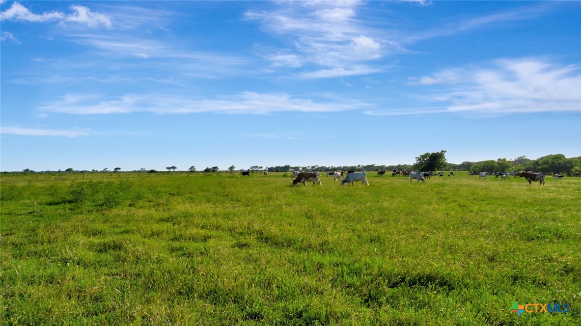 Port Lavaca, Texas, 77979, United States, ,Land,For Sale,1821016
