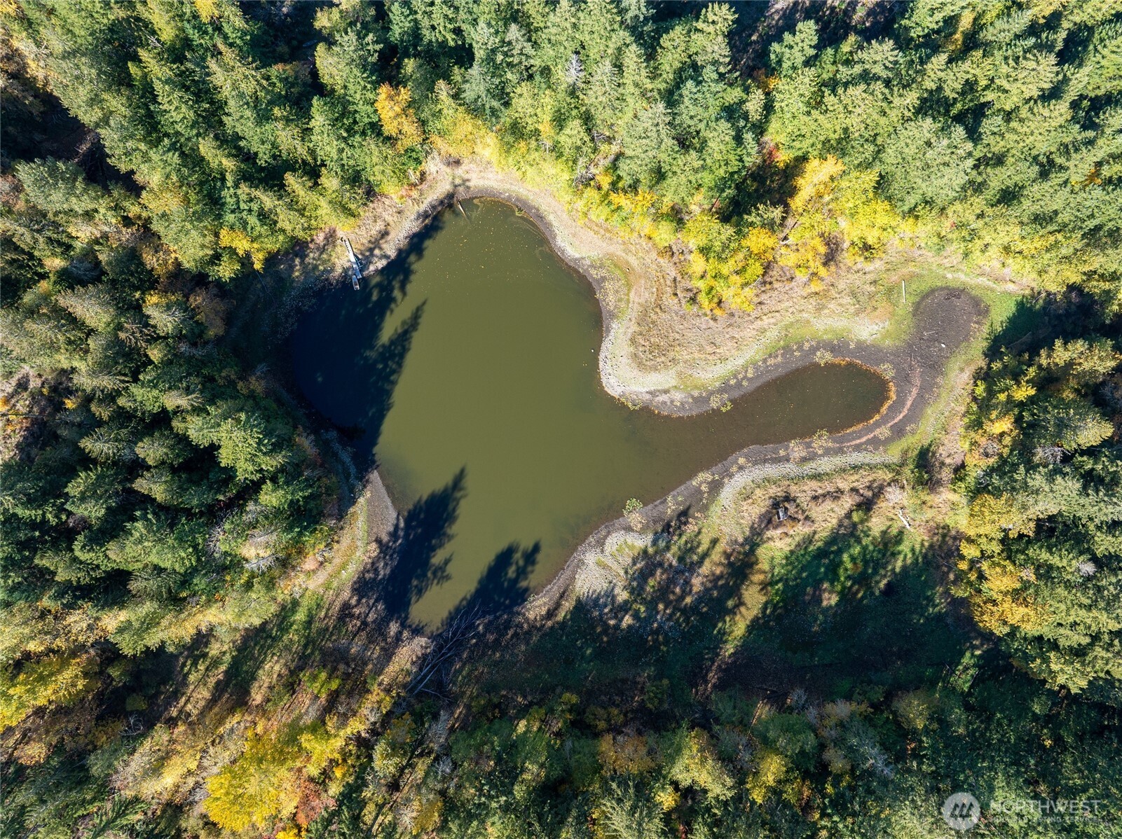 Rainier, Washington, 98576, United States, ,Land,For Sale,1998419