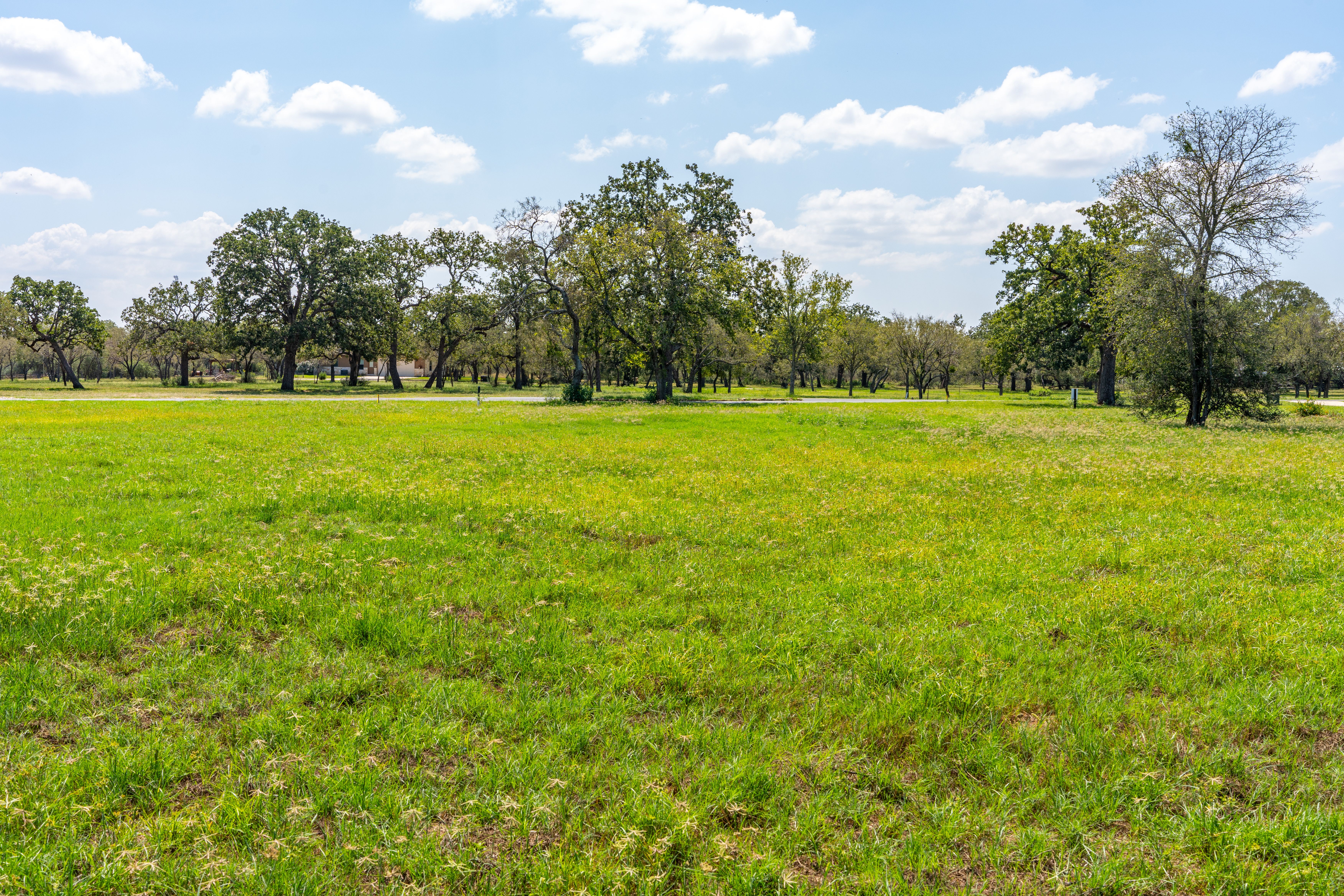  Stunning Property Along The Pedernales - 物件實景