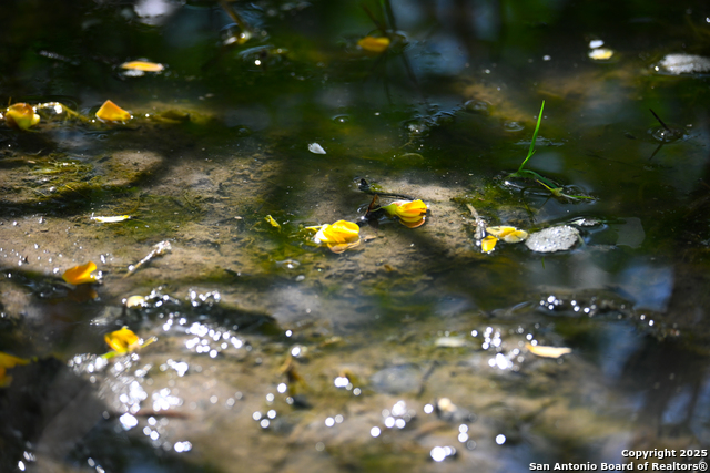 Nixon, Texas, 78140, United States, ,Residential,For Sale,1988320