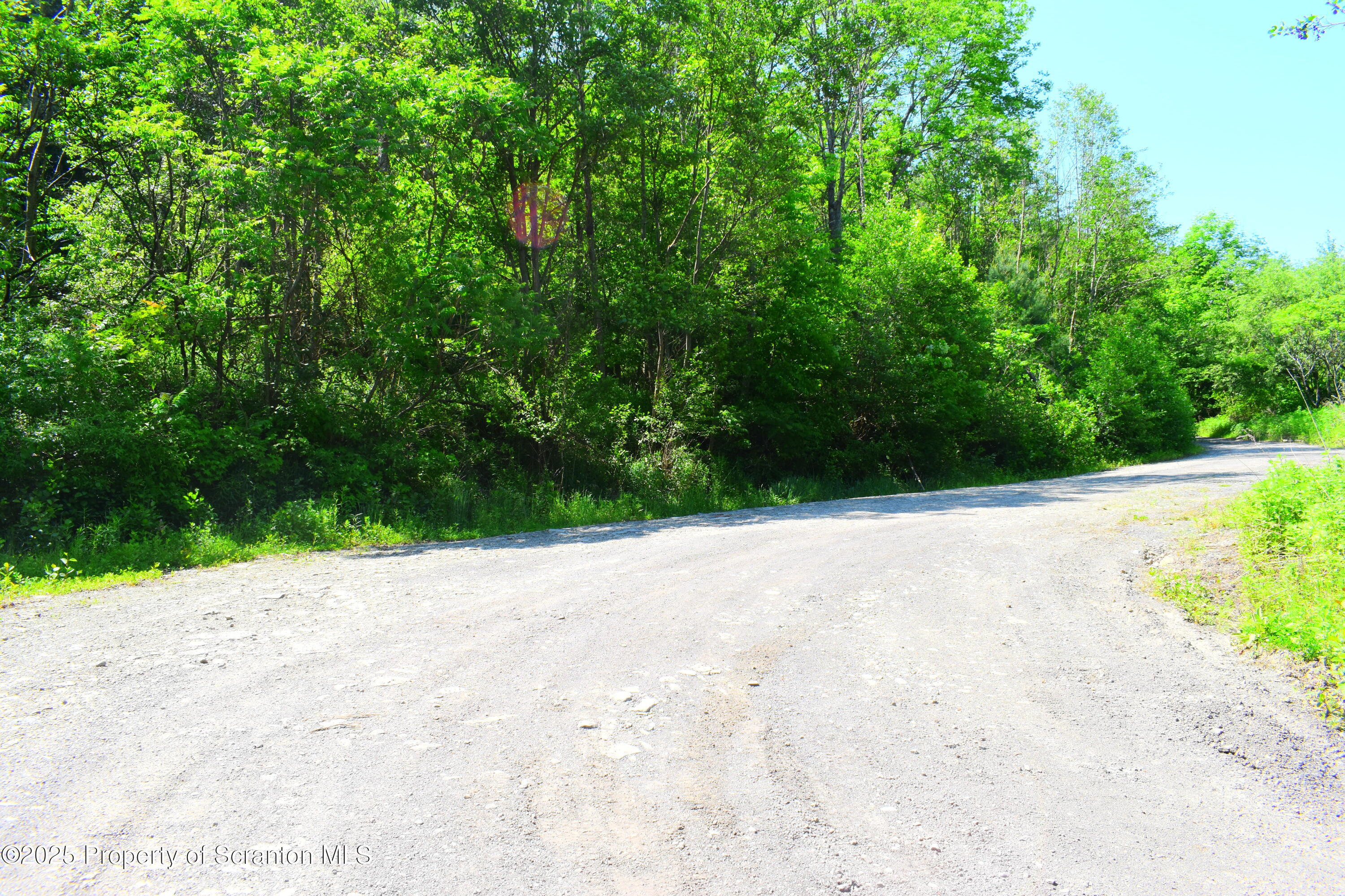 State Route 92, Susquehanna, Pennsylvania, 18847, United States, ,Land,For Sale,State Route 92,1665959