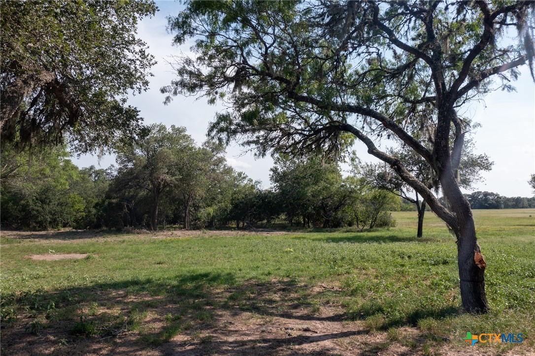 Yorktown, Texas, 78164, United States, ,Land,For Sale,1858167