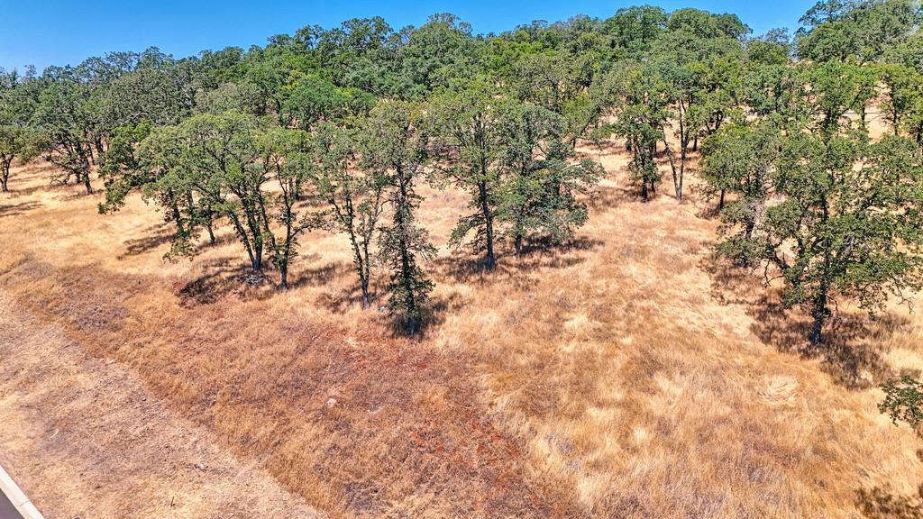 El Dorado Hills, California, 95762, United States, ,Land,For Sale,1874458