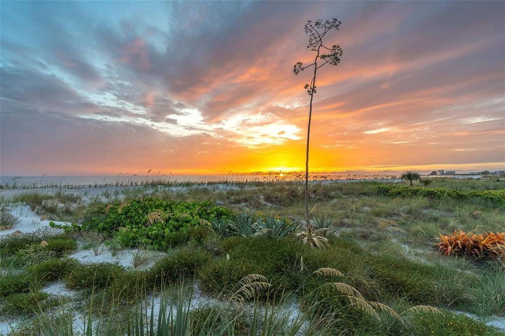 St Pete Beach, Florida, 33706, United States, 2 Bedrooms Bedrooms, ,2 BathroomsBathrooms,Residential,For Sale,1889983