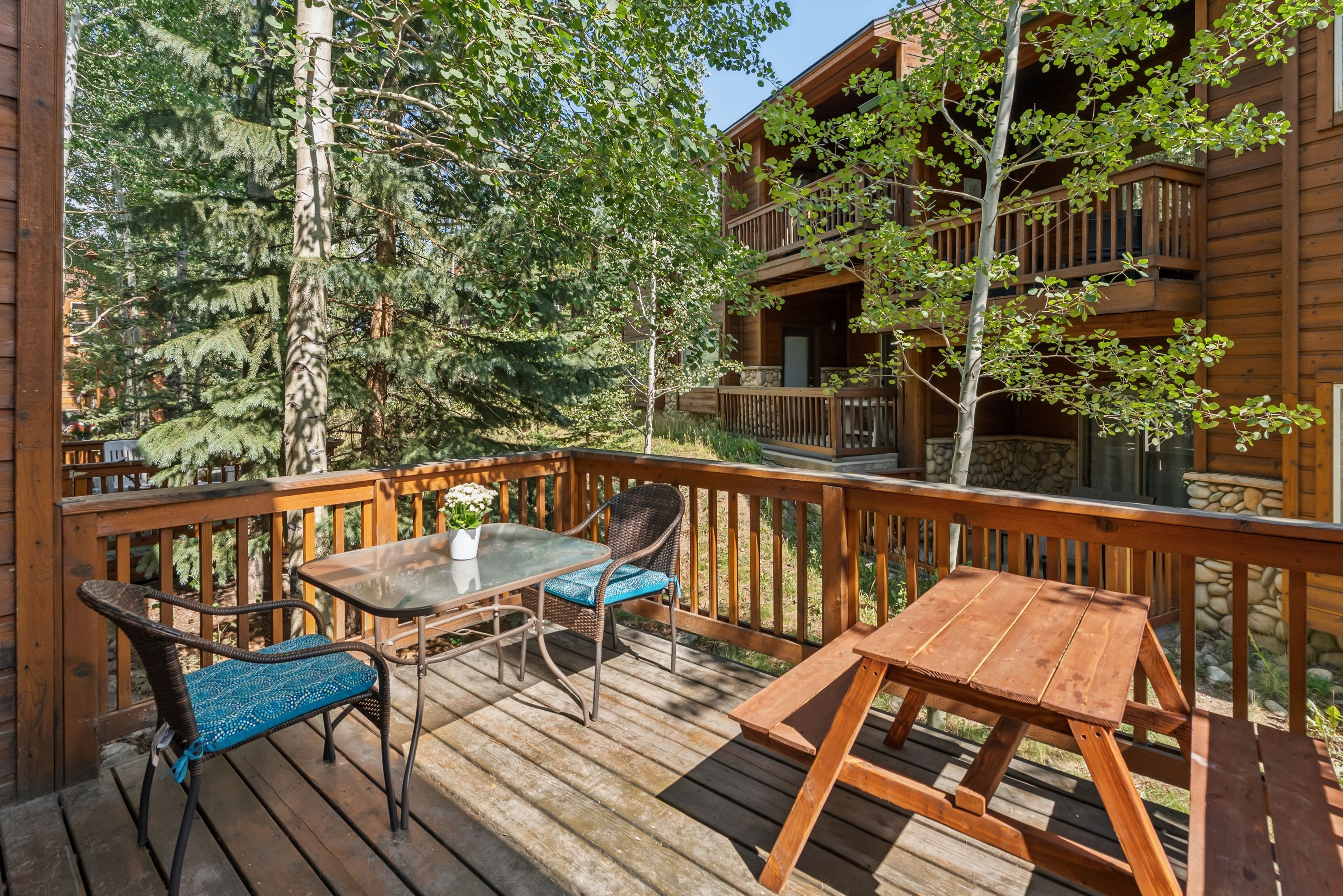  15 Lookout Ridge Drive, Dillon, CO, 80435 - 物件實景