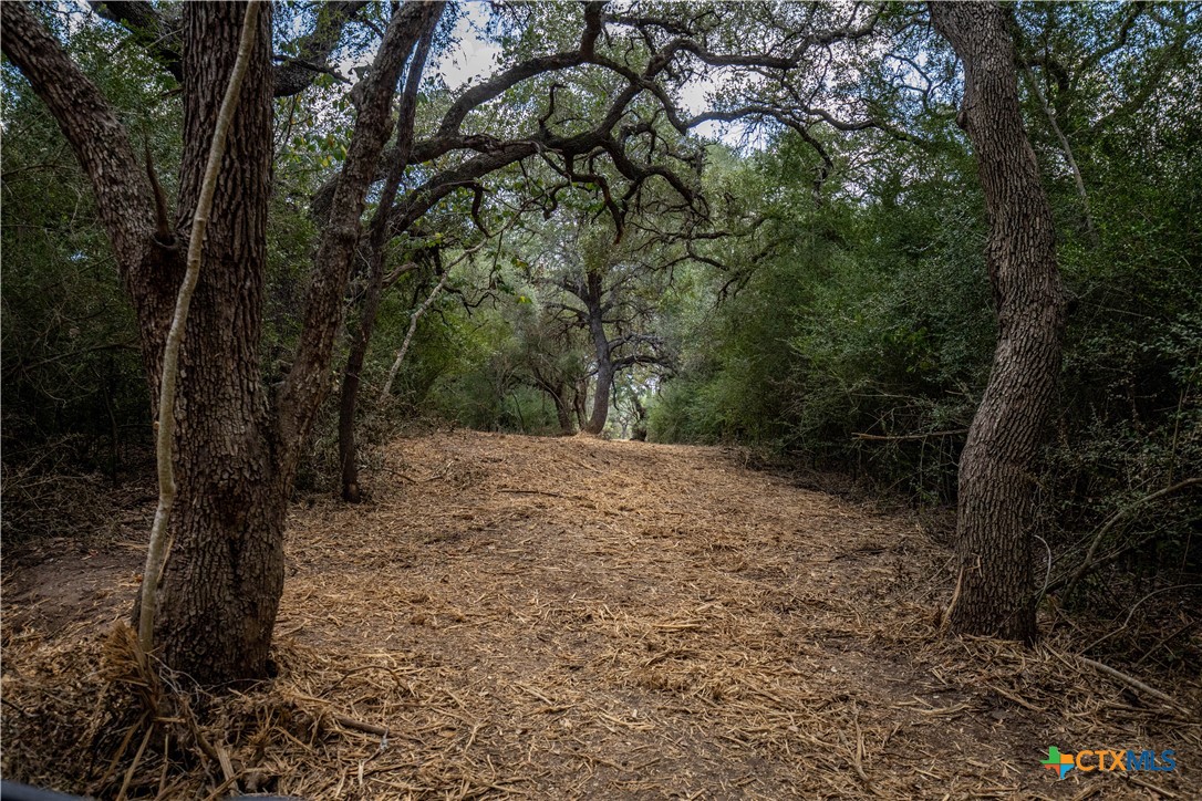 Cuero, Texas, 77954, United States, ,Residential,For Sale,1963995